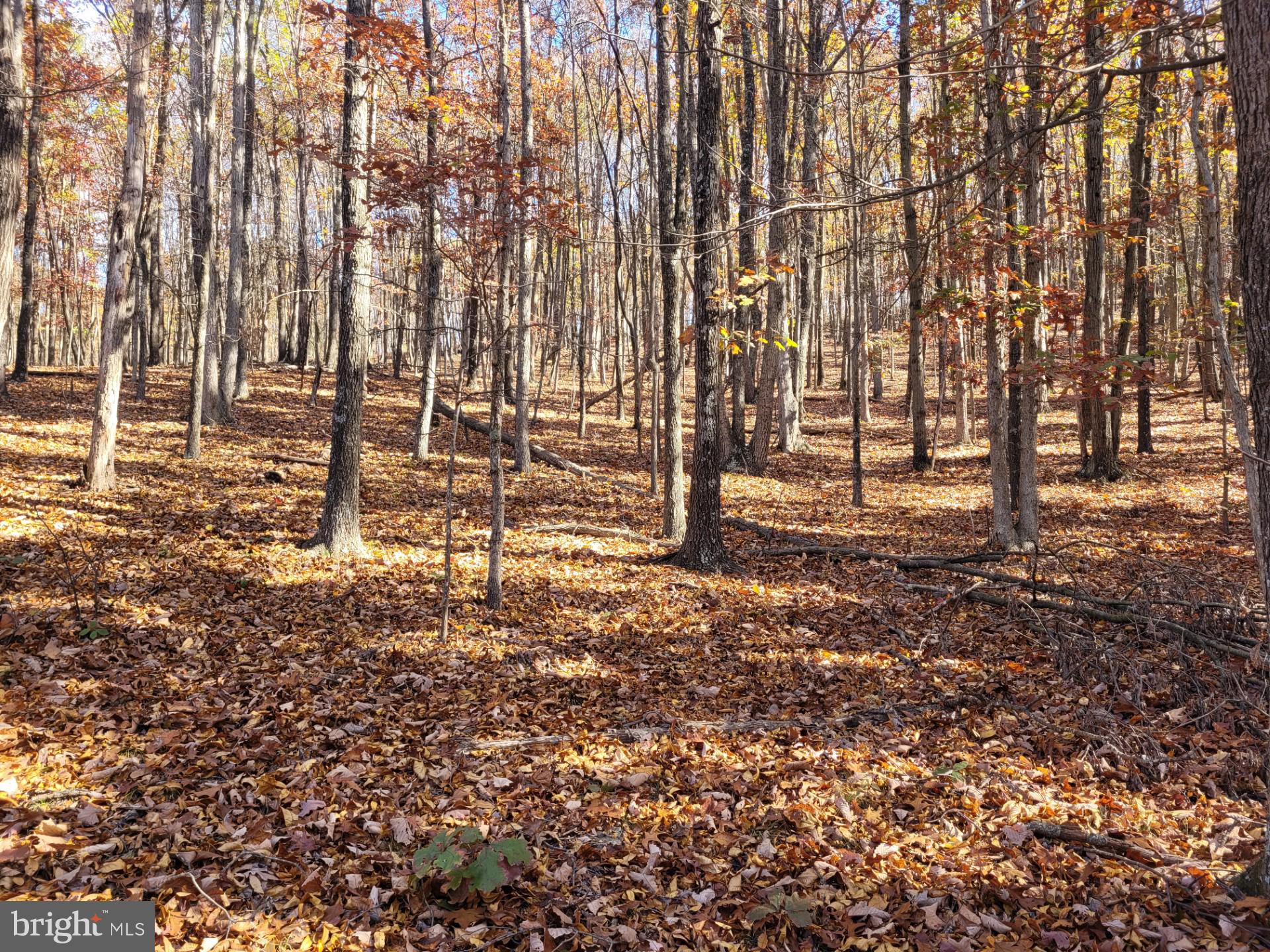 CACAPON MOUNTAIN RETREAT - Land