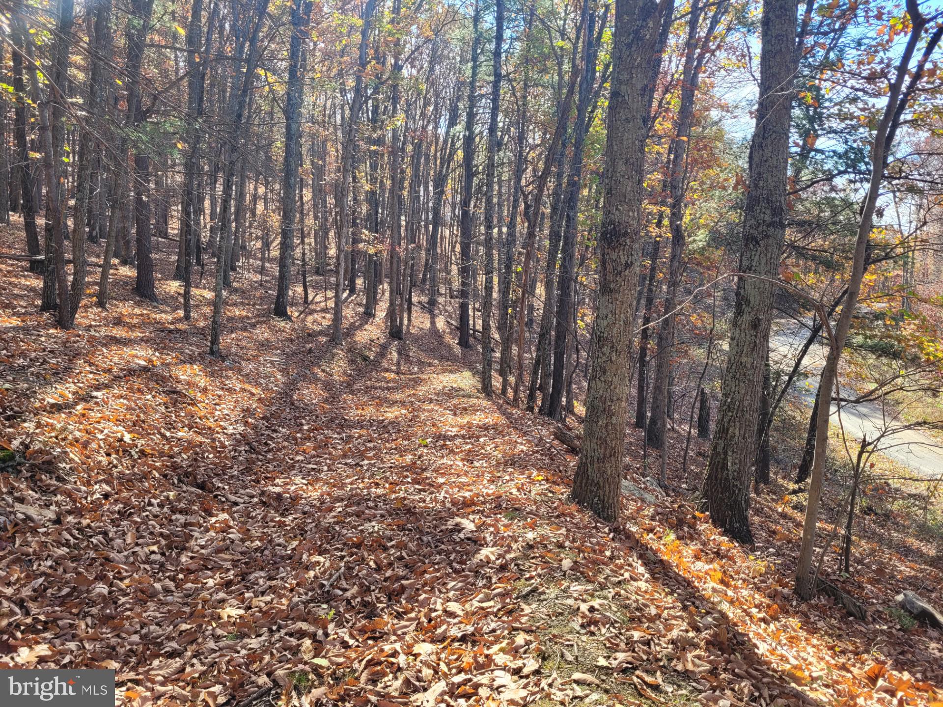 CACAPON MOUNTAIN RETREAT - Land