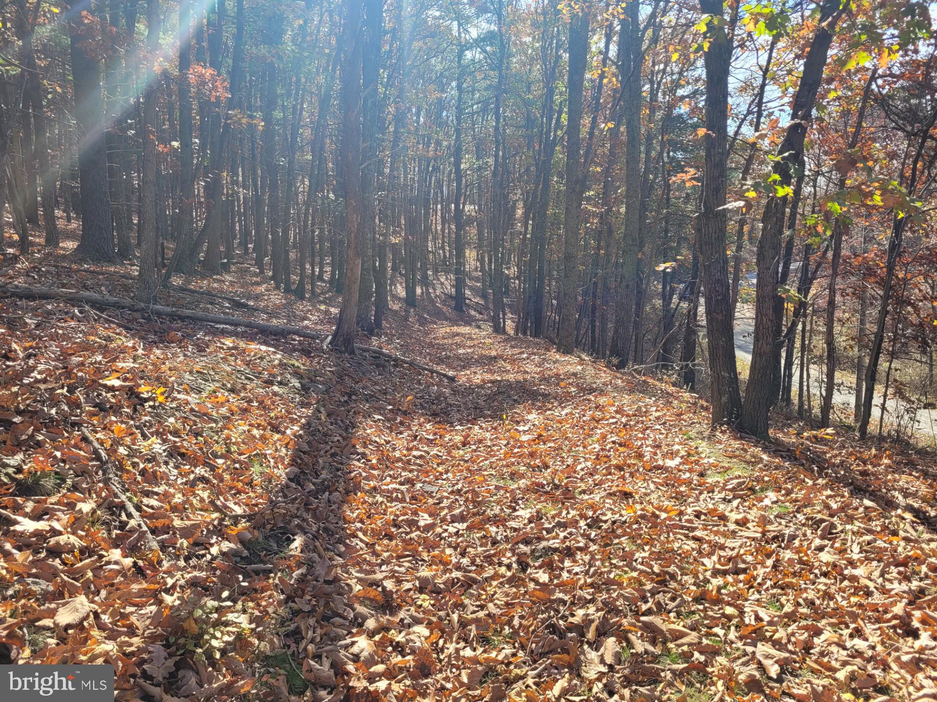 CACAPON MOUNTAIN RETREAT - Land