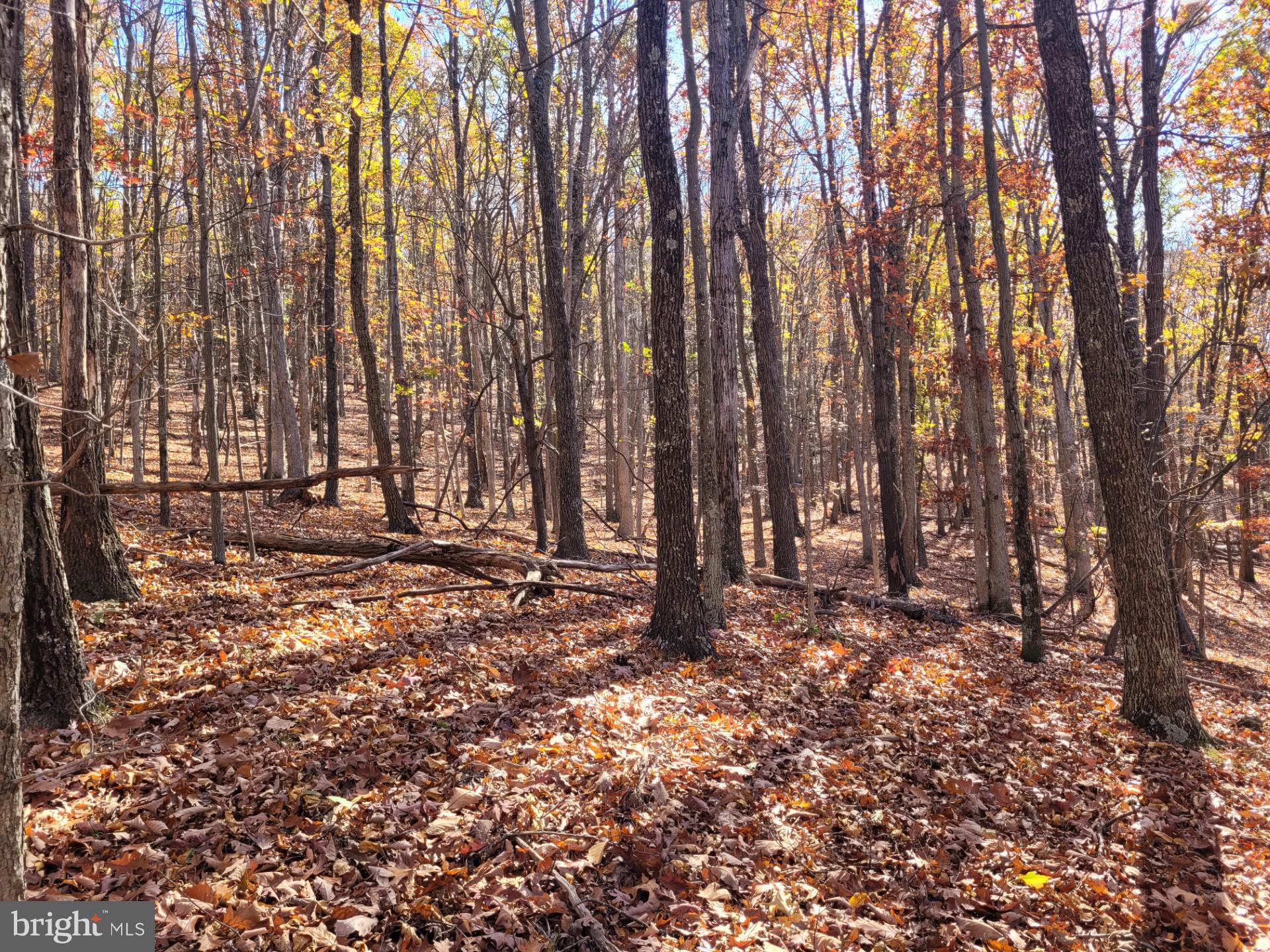 CACAPON MOUNTAIN RETREAT - Land