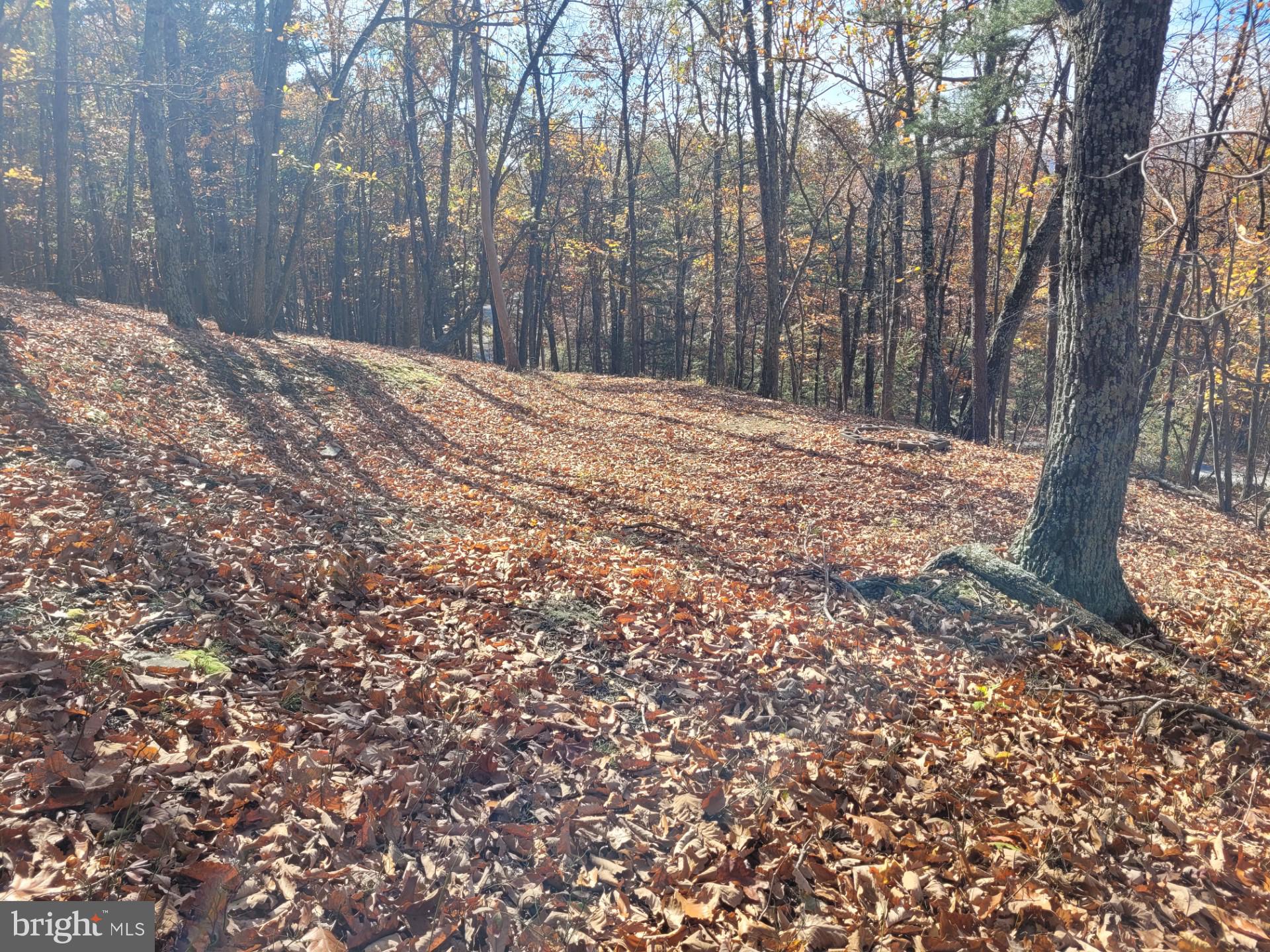 CACAPON MOUNTAIN RETREAT - Land