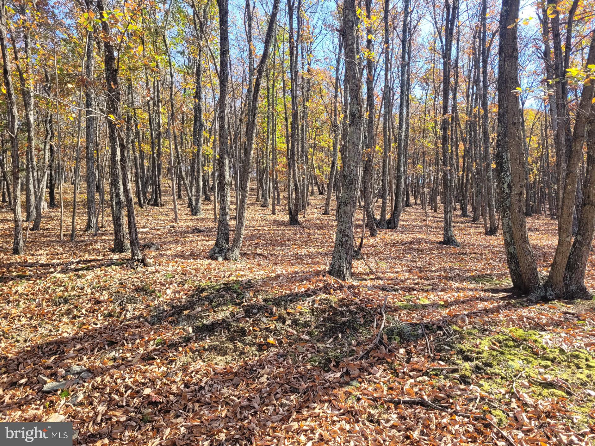 CACAPON MOUNTAIN RETREAT - Land
