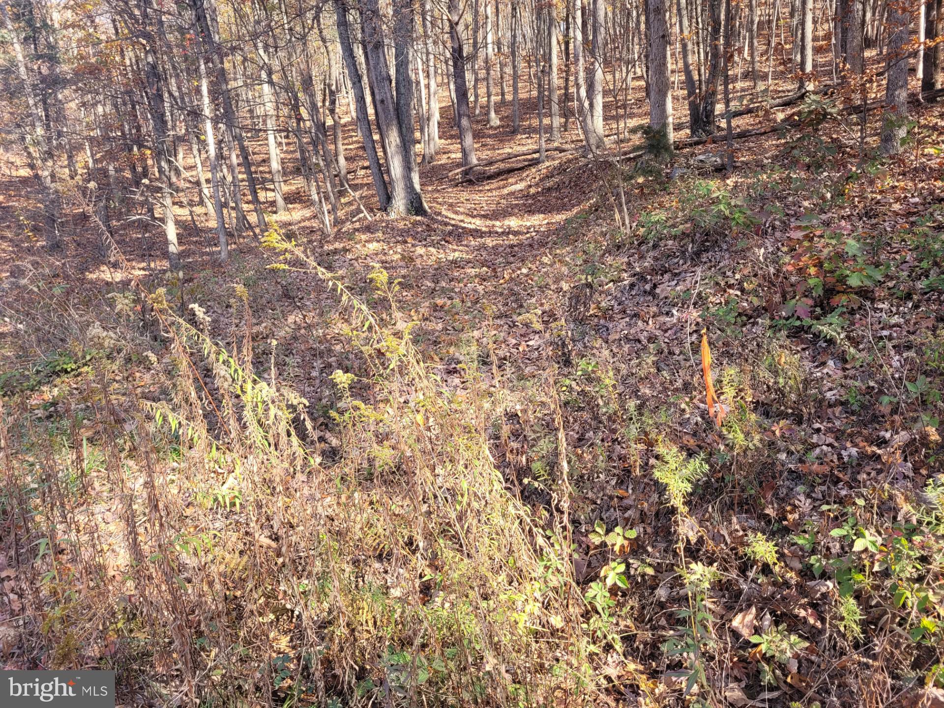 CACAPON MOUNTAIN RETREAT - Land