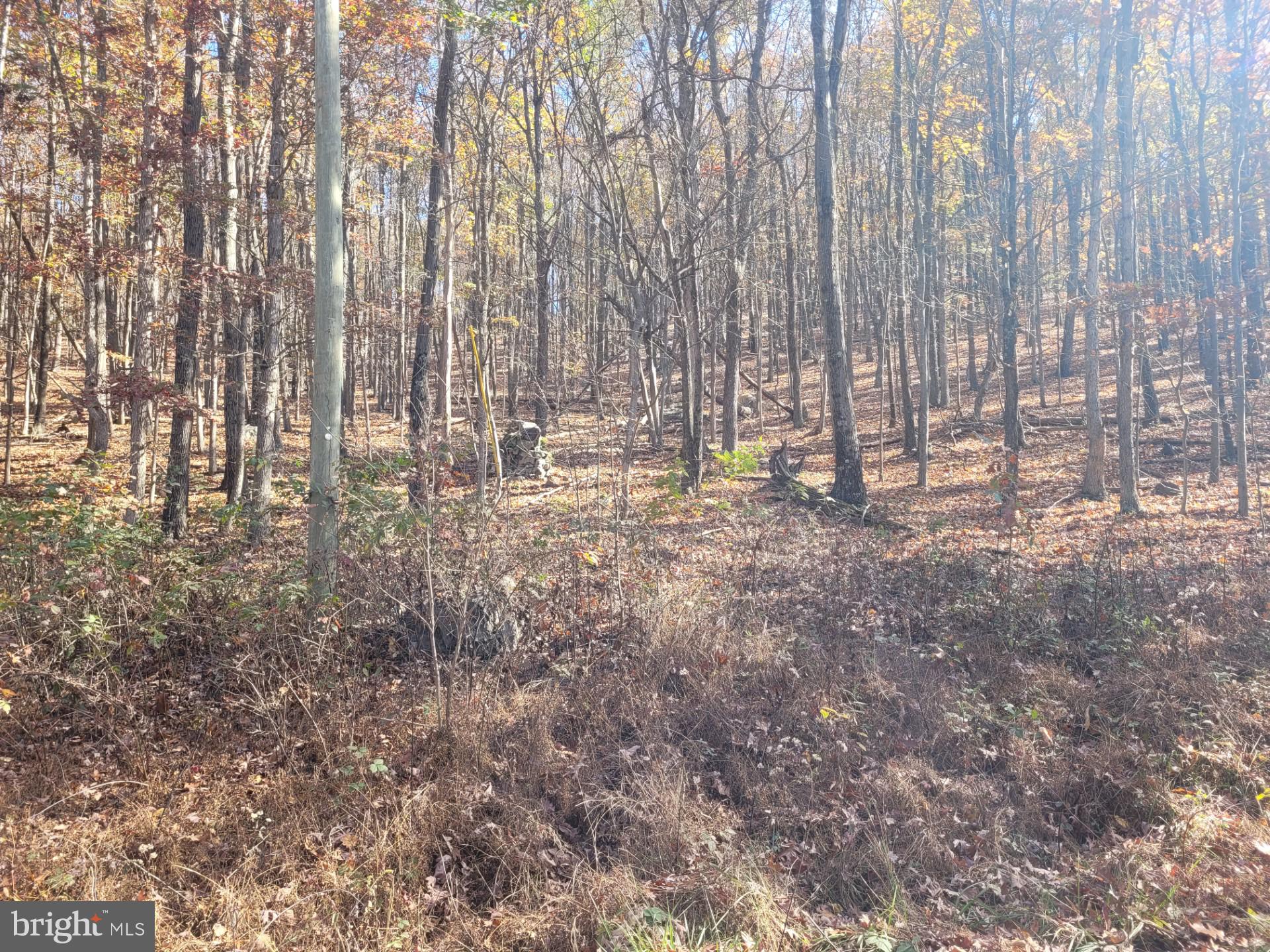 CACAPON MOUNTAIN RETREAT - Land