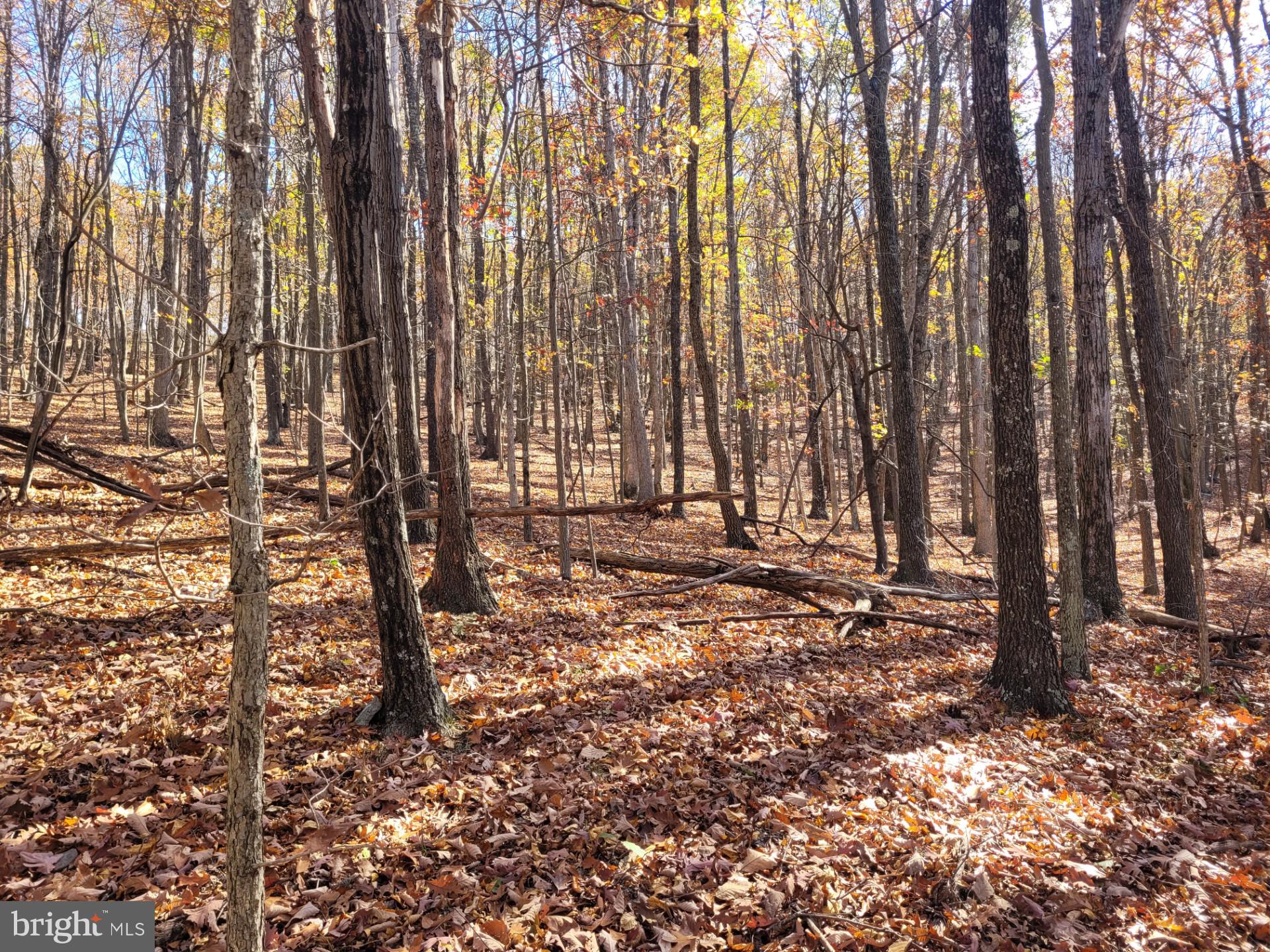 CACAPON MOUNTAIN RETREAT - Land