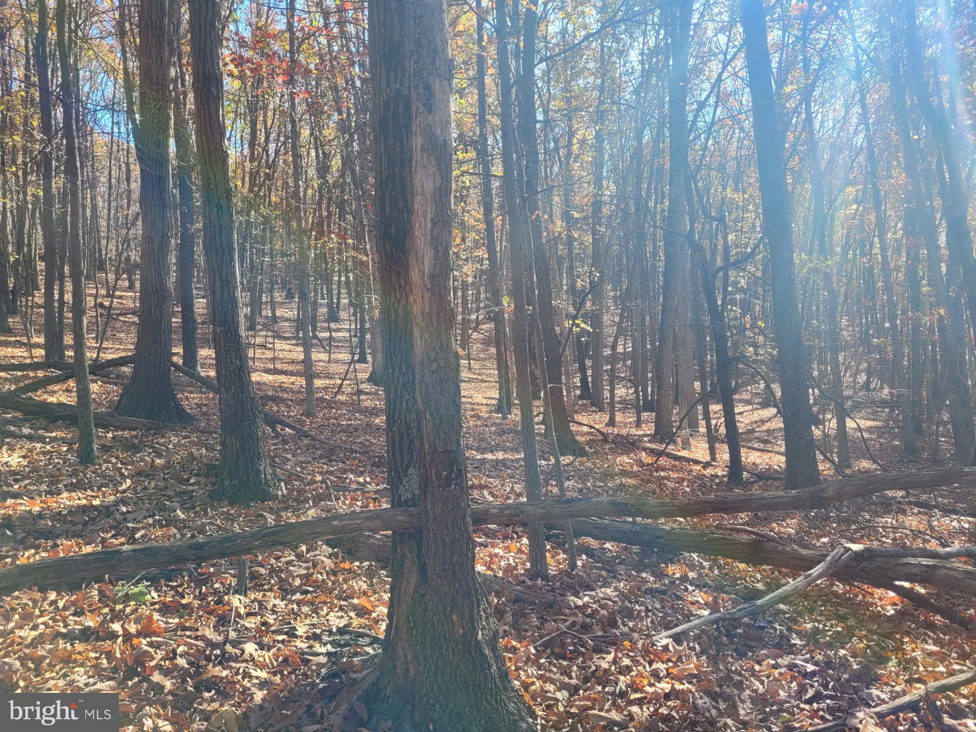 CACAPON MOUNTAIN RETREAT - Land