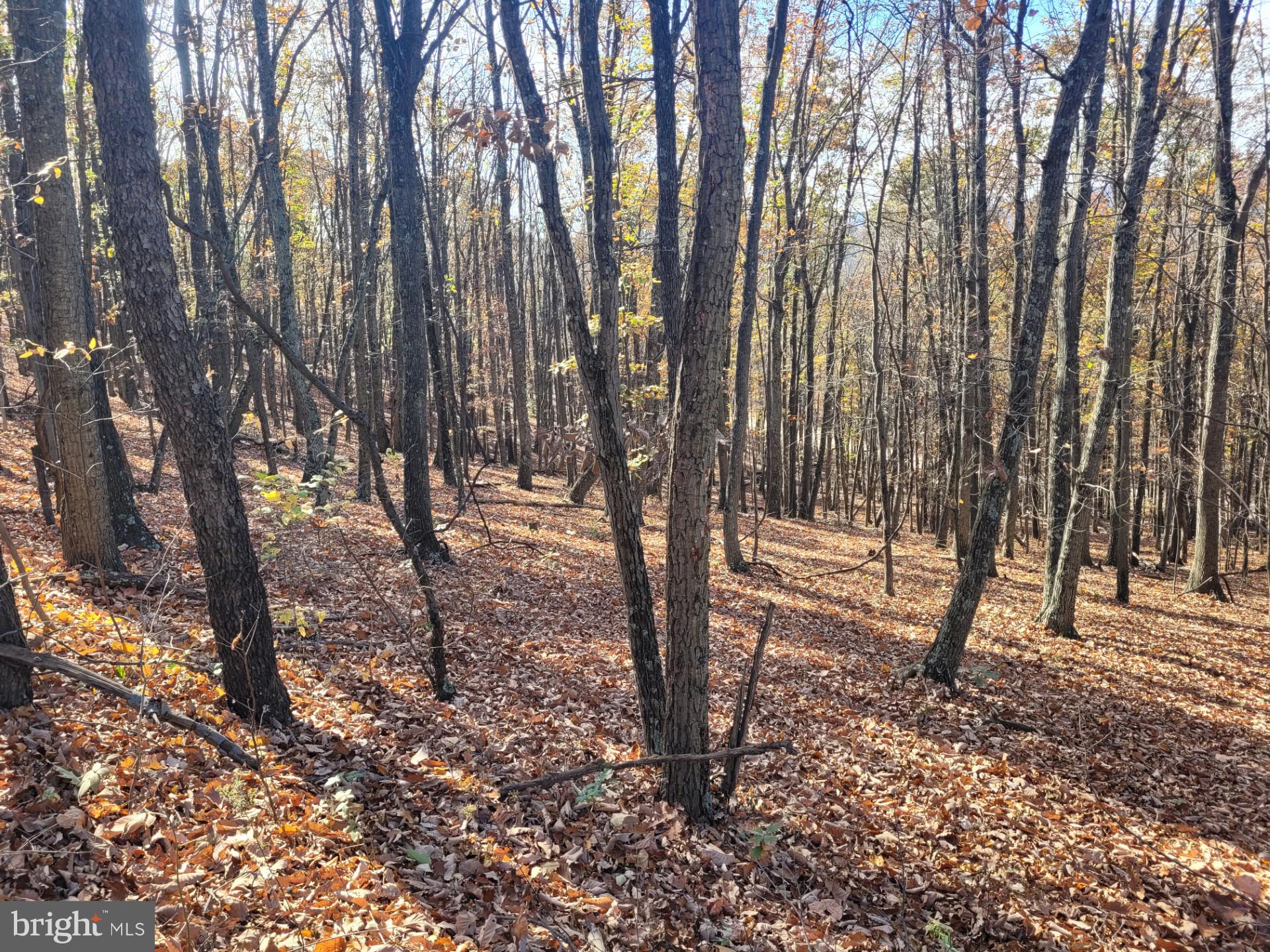 CACAPON MOUNTAIN RETREAT - Land