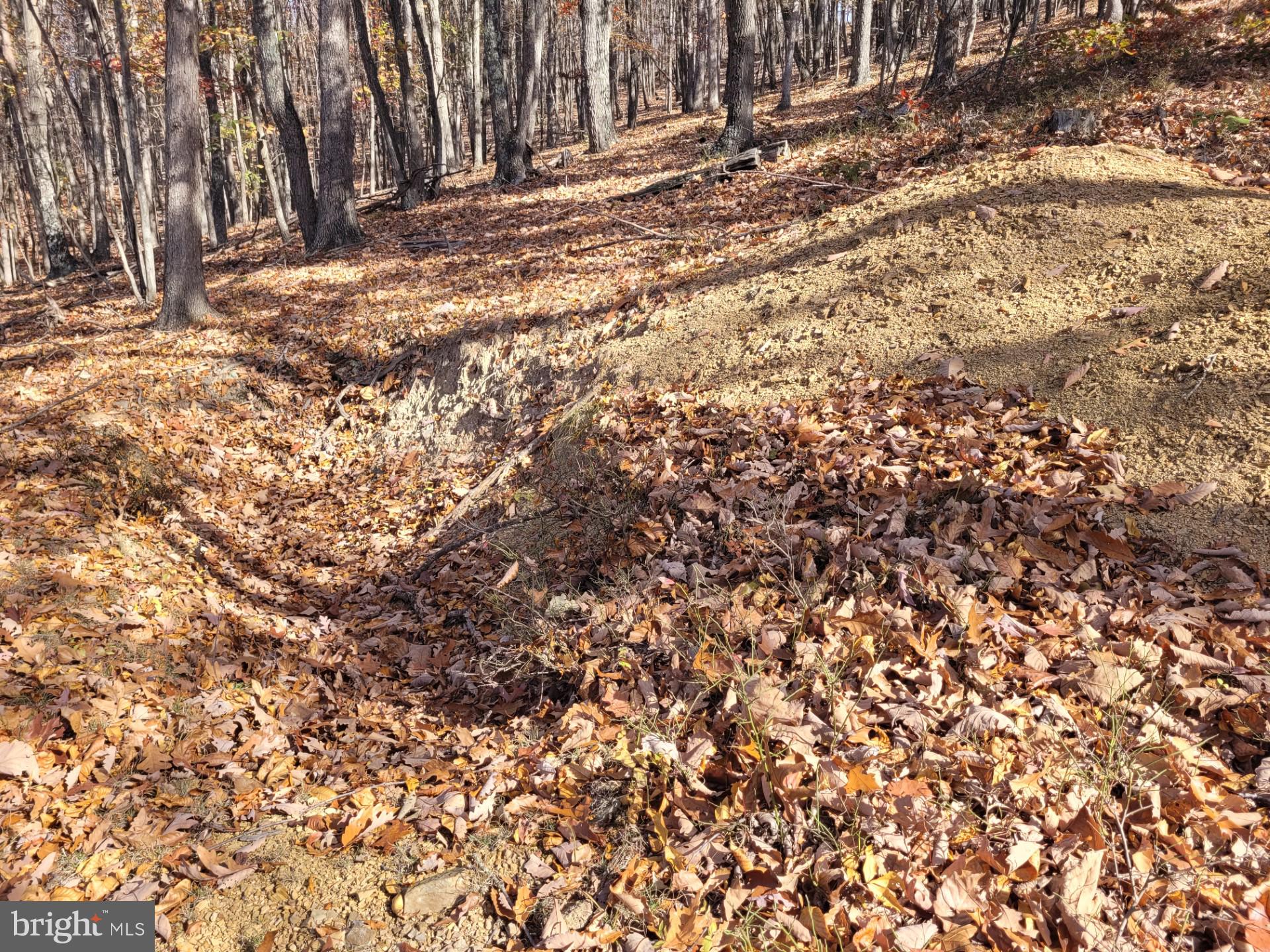 CACAPON MOUNTAIN RETREAT - Land