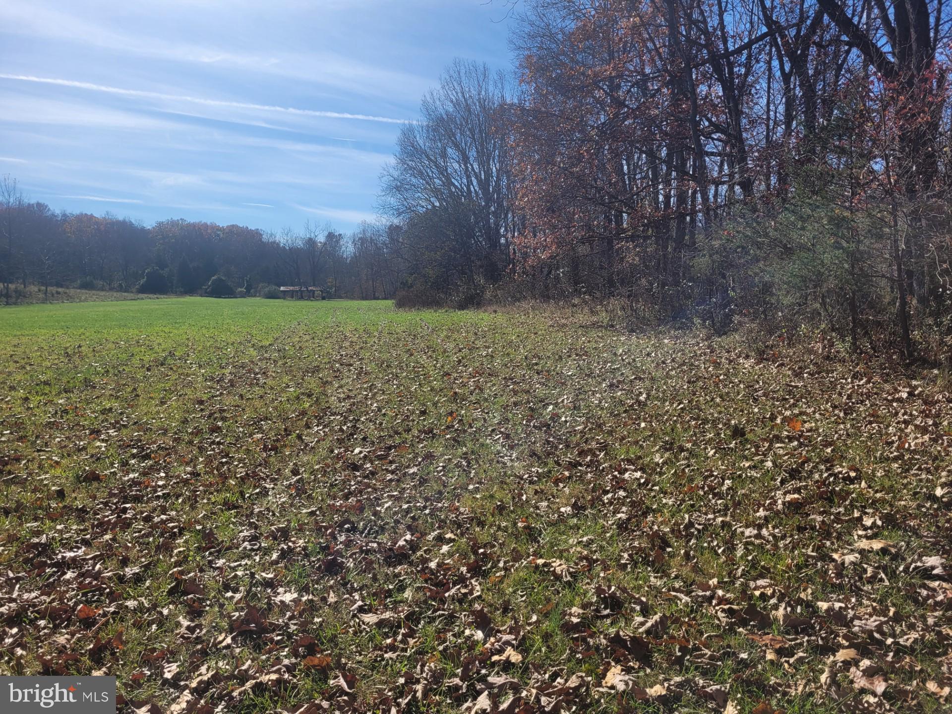 CACAPON MOUNTAIN RETREAT - Land