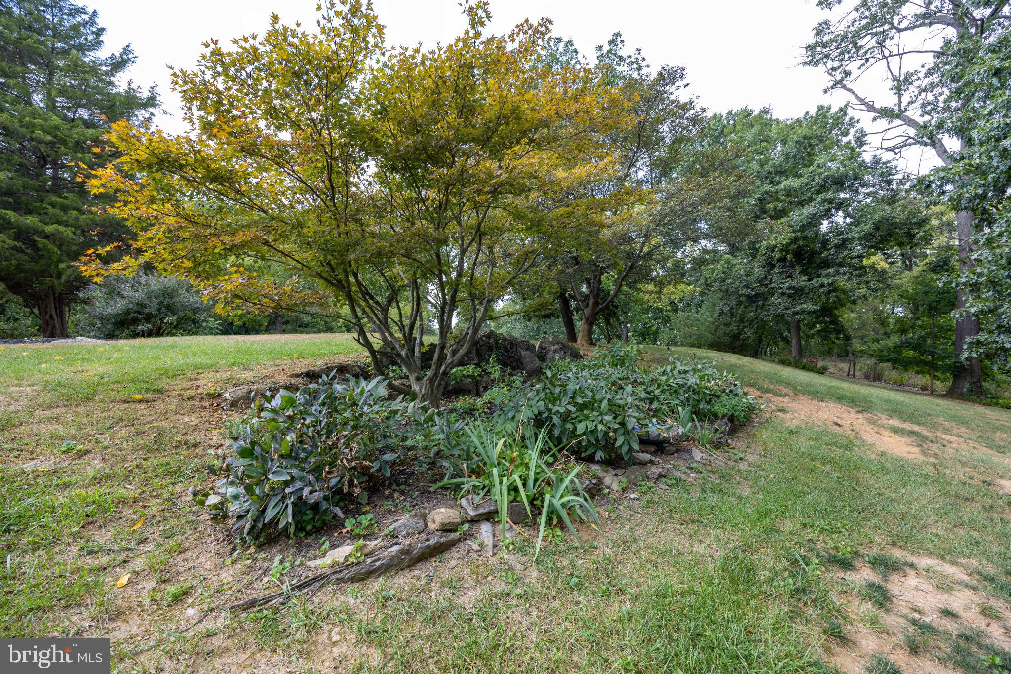 SPRING MILLS FARM - Residential