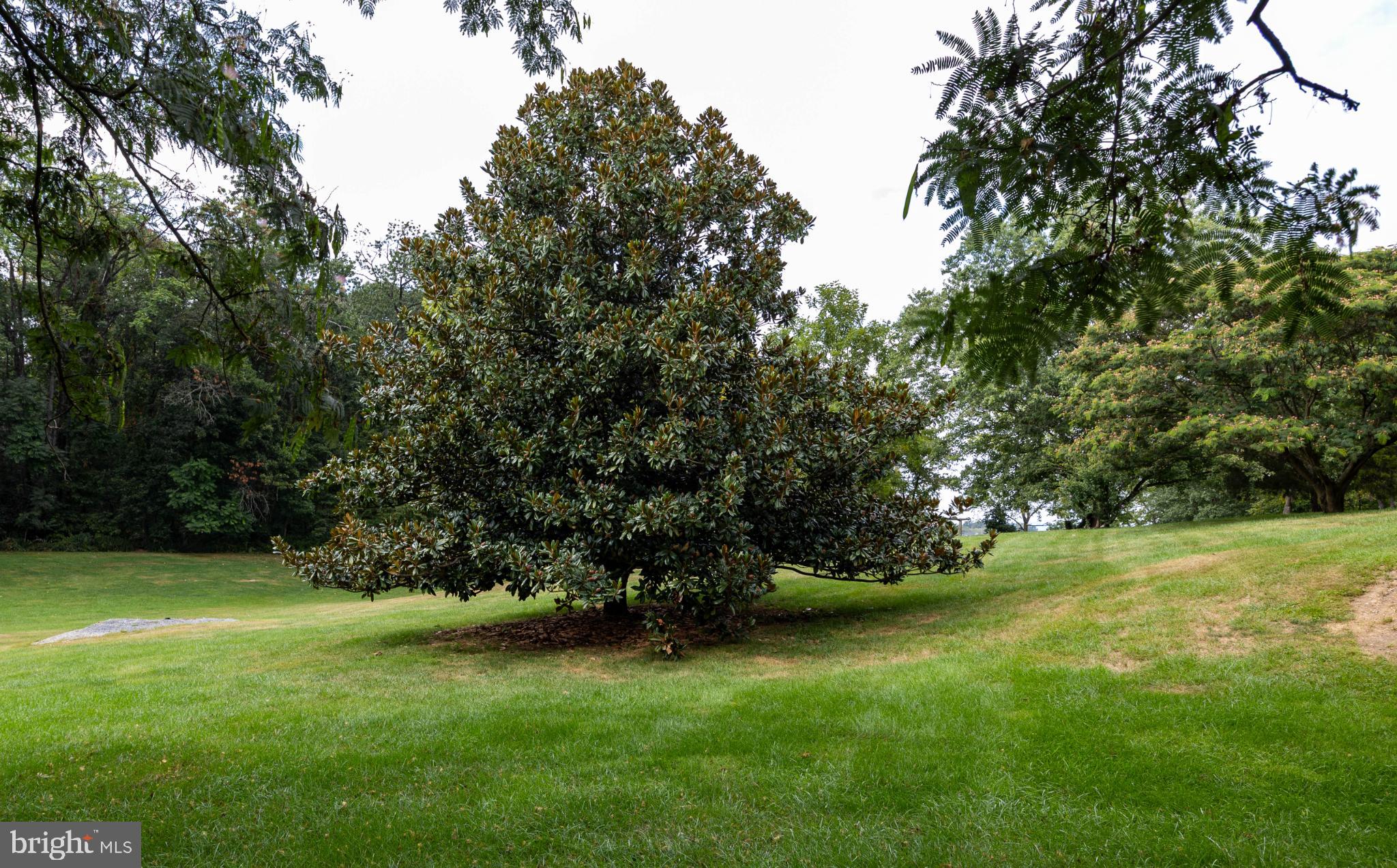 SPRING MILLS FARM - Residential