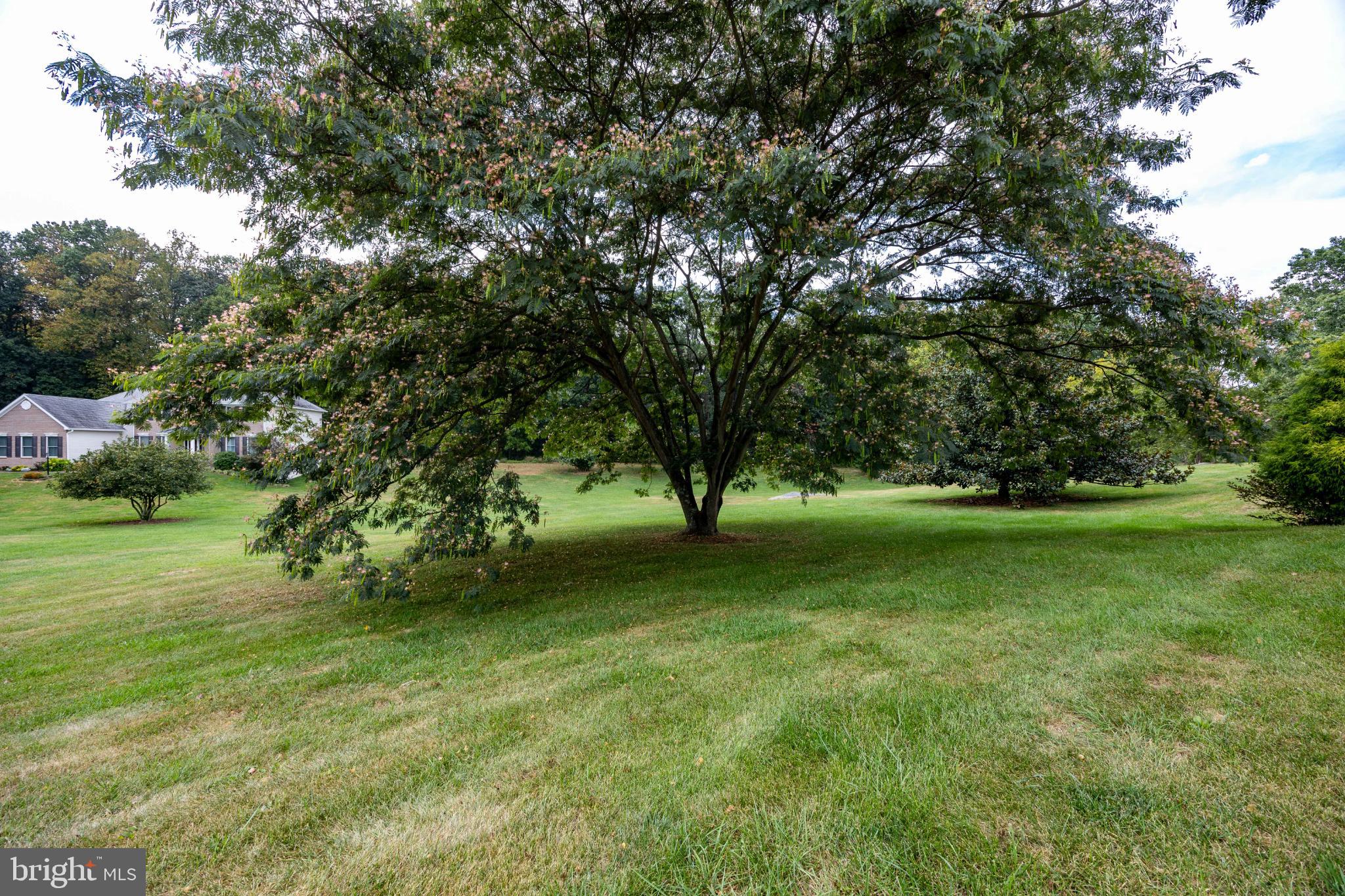 SPRING MILLS FARM - Residential
