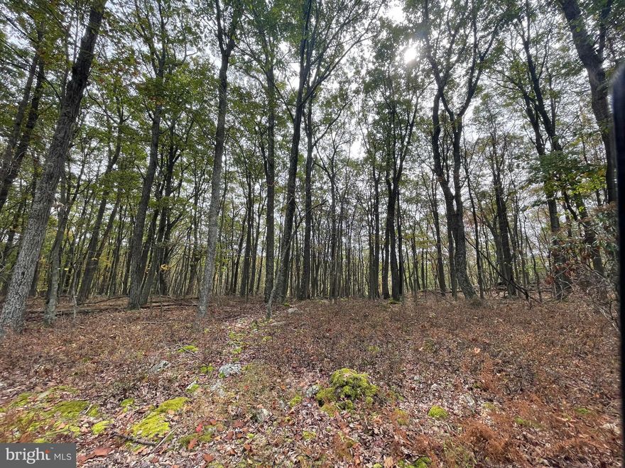 GORGEOUS 1.5-acre LEVEL building lot with a view of the "Little Crooked Run Creek" from the rear of the property.  The front approximately 1 acre of this lot is level and ready for your new home.  The back .5 acre has a gently rolling slope which allows you to easily walk down the mountain and create the most beautiful oasis for sitting creek side and enjoying nature at it's finest.  Driving through this community, the peace and tranquility will envelop you.  At any given moment, the deer, turkey, and birds will entertain you in your own backyard.   Homes within the community vary from rustic cabins and chalets, to modulars, to traditional ranch or two-story homes, and even exquisite new construction, and dreamy mountain log homes.  There really is something for everyone.  Come visit the COVE VILLAGE COMMUNITY,  where your dreams really can come true, because at this price, you can afford to build that second home or your forever home.     Bring your own builder, and let's get started.   Another cost-saving perk of this hidden gem is that all the lots have public water and sewer hookups available at the street, so you're ready to connect when building.  Water and sewer are serviced through Aqua of Pa.  750 acres of unoccupied prime hunting, ATV, and snowmobile riding land surround the residential portion of Cove Village and is for the use of the residents of the community and their guests!  Situated in the foothills of the Poconos and only 1 1/2 hours to New York.  With easy access to I-81, your commute to Hazleton, Wilkes-Barre, or Scranton is a breeze.  The approximately 278 acres of residential homes and lots are occupied by full-time residents, part-time vacation homes, and even some snowbird second homes.  Cove Village offers an abundance of amenities including a swimming pool, stocked fishing lake, a basketball court, tennis courts, a volleyball court, 2 playgrounds, a baseball field, ATV paths, hunting, a mini golf course, walking paths, and year-round Community events.  I can't forget to mention the beautiful lodge which is ideal to rent for family gatherings.   This lot and community just might be exactly what you've been looking for.  Air B and B are not permitted. Camping on vacant lots is not permitted.  Mobile homes are not permitted.  The minimum square footage when building is 1400 square feet.  The community maintains the roads and snow removal.  Trash collection is also provided.   An appointment is required to view due to the gated community.  Call to schedule your tour today!