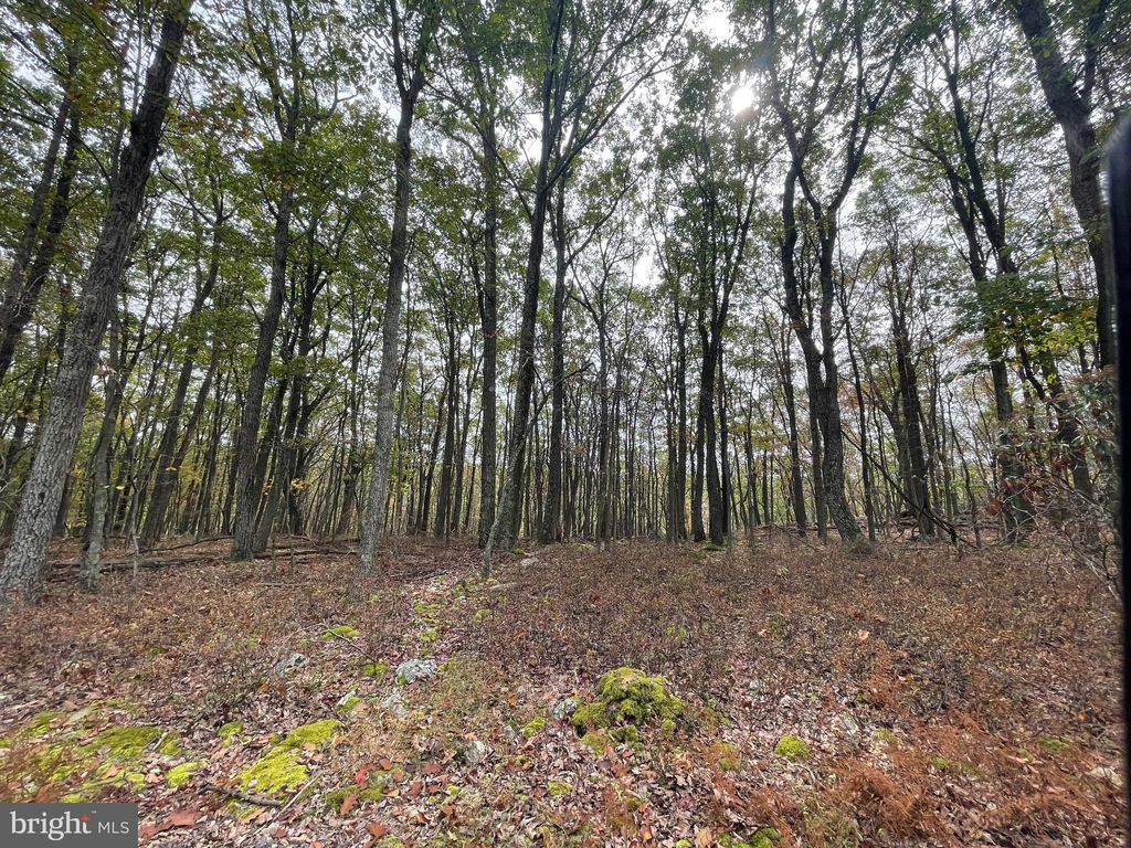 Photo of 130 Spring Mountain Dr, ZION GROVE, PA 17985 (MLS # PASK2023678)