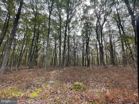 130 SPRING MOUNTAIN DR ZION GROVE PA 17985