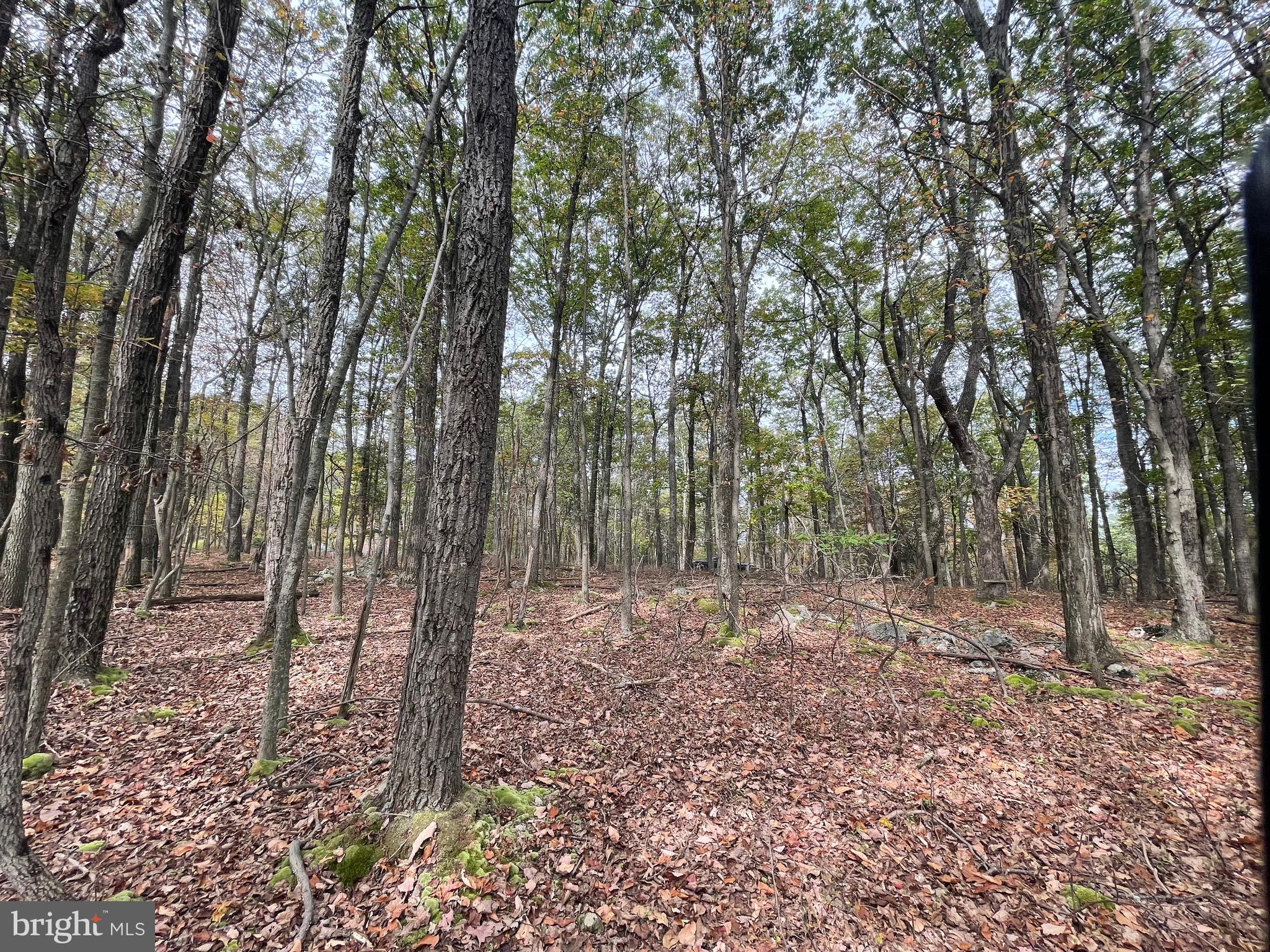 130 SPRING MOUNTAIN DR