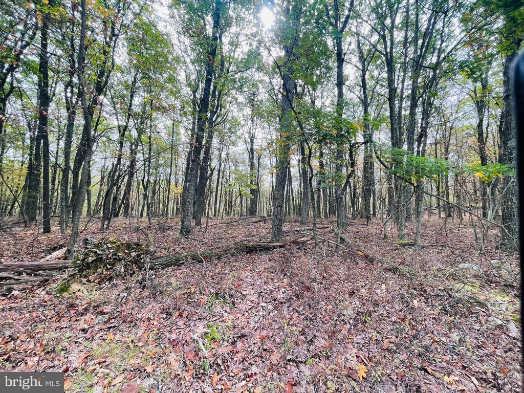 Photo of 130 Spring Mountain Dr, ZION GROVE, PA 17985 (MLS # PASK2023678)