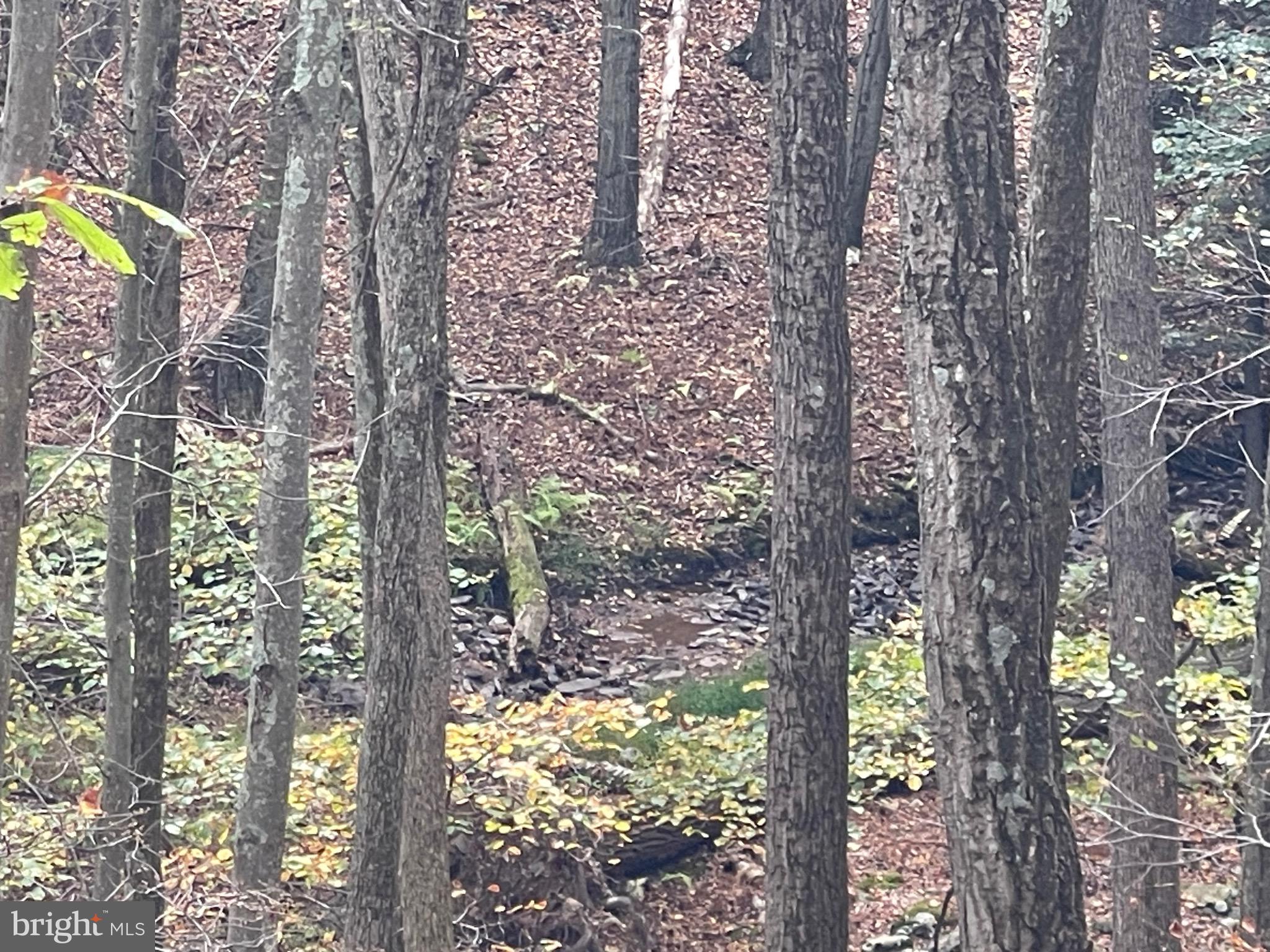 130 SPRING MOUNTAIN DR