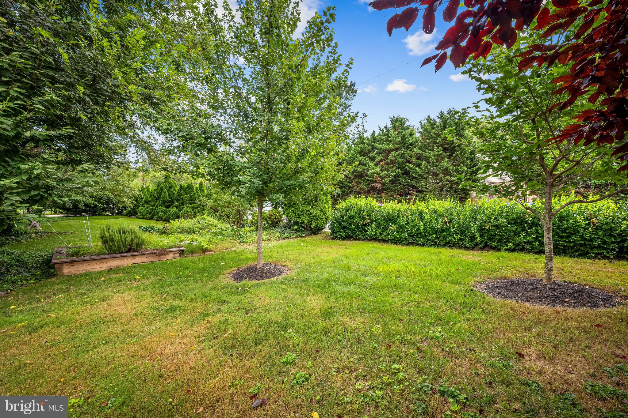 THE ORCHARDS - Residential