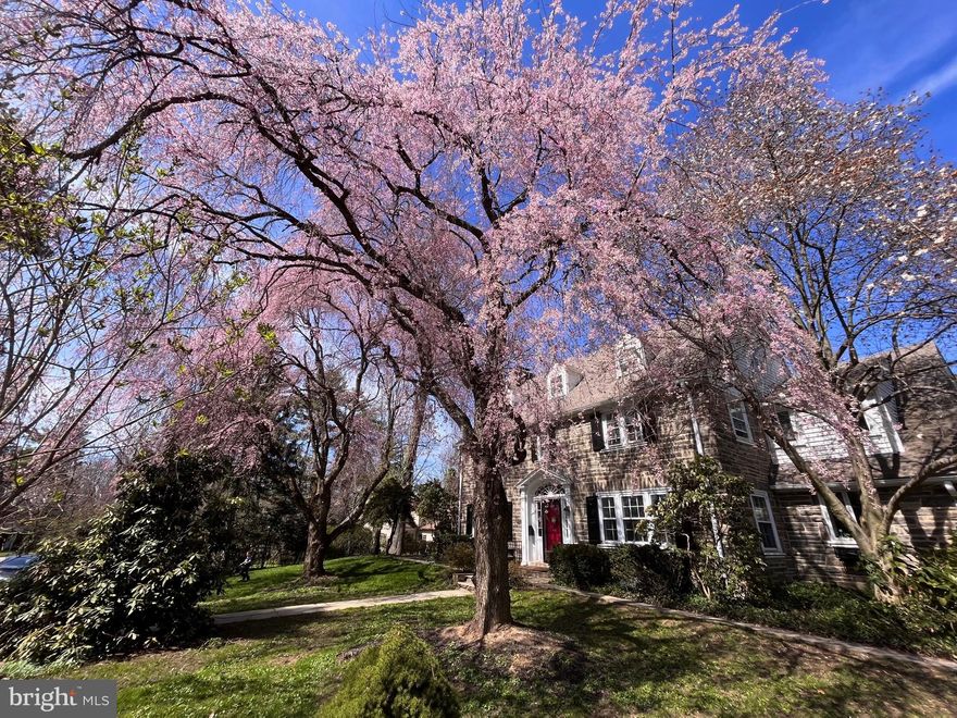Bright, balanced, and fully updated stately 6 bedroom 4 ½ bath stone colonial positioned on an idyllic .42 parcel on a private north side Haverford Lane, walkable to the train, Haverford Square and only a mile to the expanded shopping and the farmers market of Suburban Square.  Spectacular exterior grounds include a spacious patio for entertaining and a flat usable rear yard.  Purchased in 2015 the home, while nicely maintained, was in need of an update. The current owners saw to a systematic, 4 level, renovation with the last bathroom completed only a month ago. The classic straight through center Foyer plan  opens on the left to the formal Living Room. A wood burning fireplace with black painted brick surround offers crisp contrast to the white painted mantle and honey toned wood floors found throughout 3 levels of the home. Beyond this formal space, through double French doors is the gym, formerly the sunroom room, this space is brightened by wrap around windows with a glass paned door which opens to the flat lawn with views of the gardens and alfresco dining terrace.. The kitchen was a passion project for these owners. Walls dividing what was once the formal Dining Room, Butler’s Pantry and original isolated Kitchen were removed creating one large high functioning and spectacular space! Sparkling white Kitchen with shaker style cabinets pair beautifully with dark soapstone counters and a sea-glass backsplash.  Easy prep and entertaining with stainless steel appliances including 5 burner gas cooking, French door refrigerator and stainless farm sink which form the perimeter around a spectacular sweeping seated island. Cabinets from the original Butler’s pantry were refurbished, now providing excellent display storage over-top of the beverage chiller, coffee, and wet bars. What was once the formal dining room is now a large welcoming dining space, completely open to the kitchen, highlighted with designer lighting and three exposures of light.
Ascend the front stair to the large Primary Suite. A chic, en-suite bath features ceramic “wood plank” radiantly heated floors, large spa-styled shower with seamless glass enclosure,two shower heads and separate water closet with shelved and hook storage. The walk-in closet  with window provides for generous hanging as well as folded clothing storage. A second level foyer with linen closet, connects two additional bedrooms. one with a private bath with beautiful shower and the other with a jack and Jill bath with shower/tub, wash-stand height double vanity. This spacious bath serves the guest room as well and is positioned off the rear stair. All family or guest rooms have ample walk-in or reach in closets
The Third story offers two large bedrooms with charming dormered ceilings and share a stunning hall bath with lacquered navy vanity, white herringboned tile shower and heated floors.
No level was left untouched. The lower level of the home accessed from the kitchen/mudroom or by Bilco doors, has been styled with dark gray painted ceiling and polished concrete floors. A full-sized laundry and shelved closets offer expanded everyday storage. The recreational and Television area occupy the central portion of the lower level and an update ½ bath make for a fully finished space.  Additional highlights include a separate work space / mechanical room  and French drain on high side of house, with a sump with battery backup.
Extensive updates and renovations, unrivaled location, beautifully selected interior finishes.