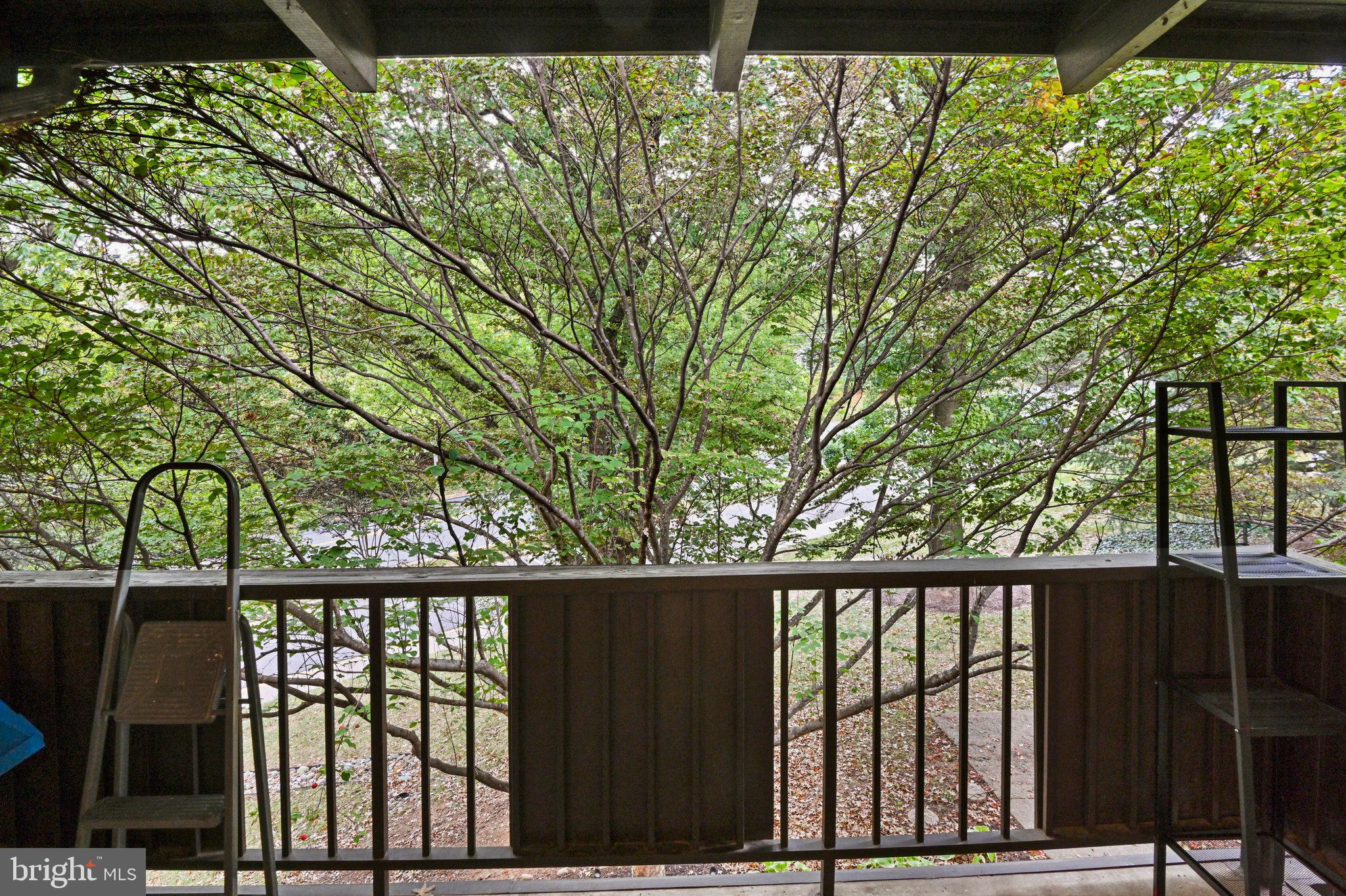 MCLEAN HILLS - Residential Lease