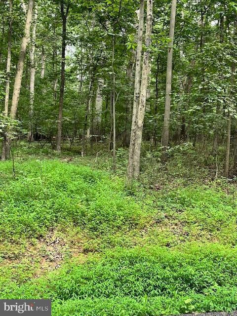 BAUMGARDNER RD S
