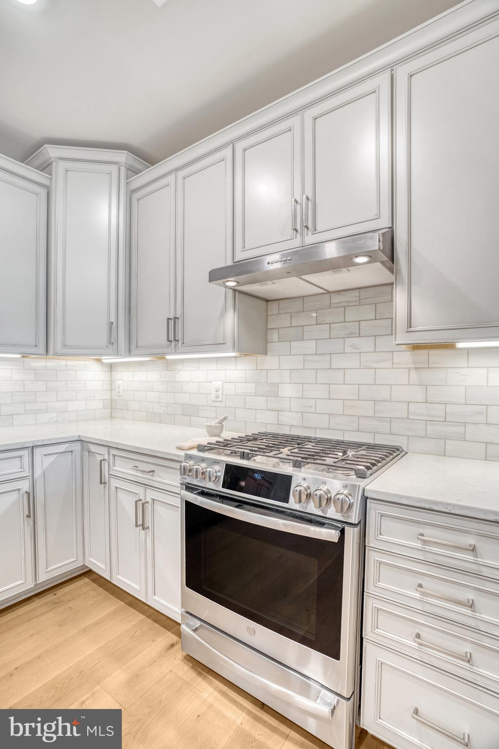 REGENCY AT ASHBURN - Residential