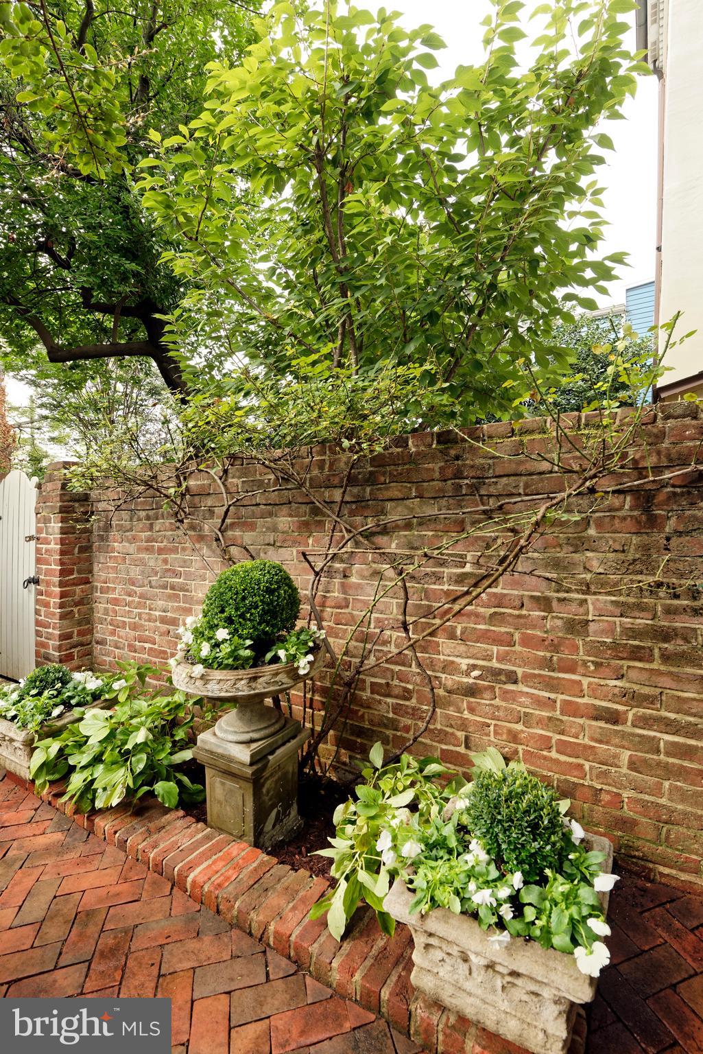 OLD TOWN ALEXANDRIA - Residential
