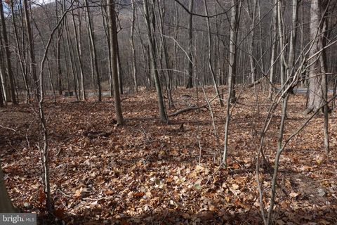 Vacant Land For Sale - 22556 Loop Road<br/> Franklin County, DOYLESBURG, PA 17219