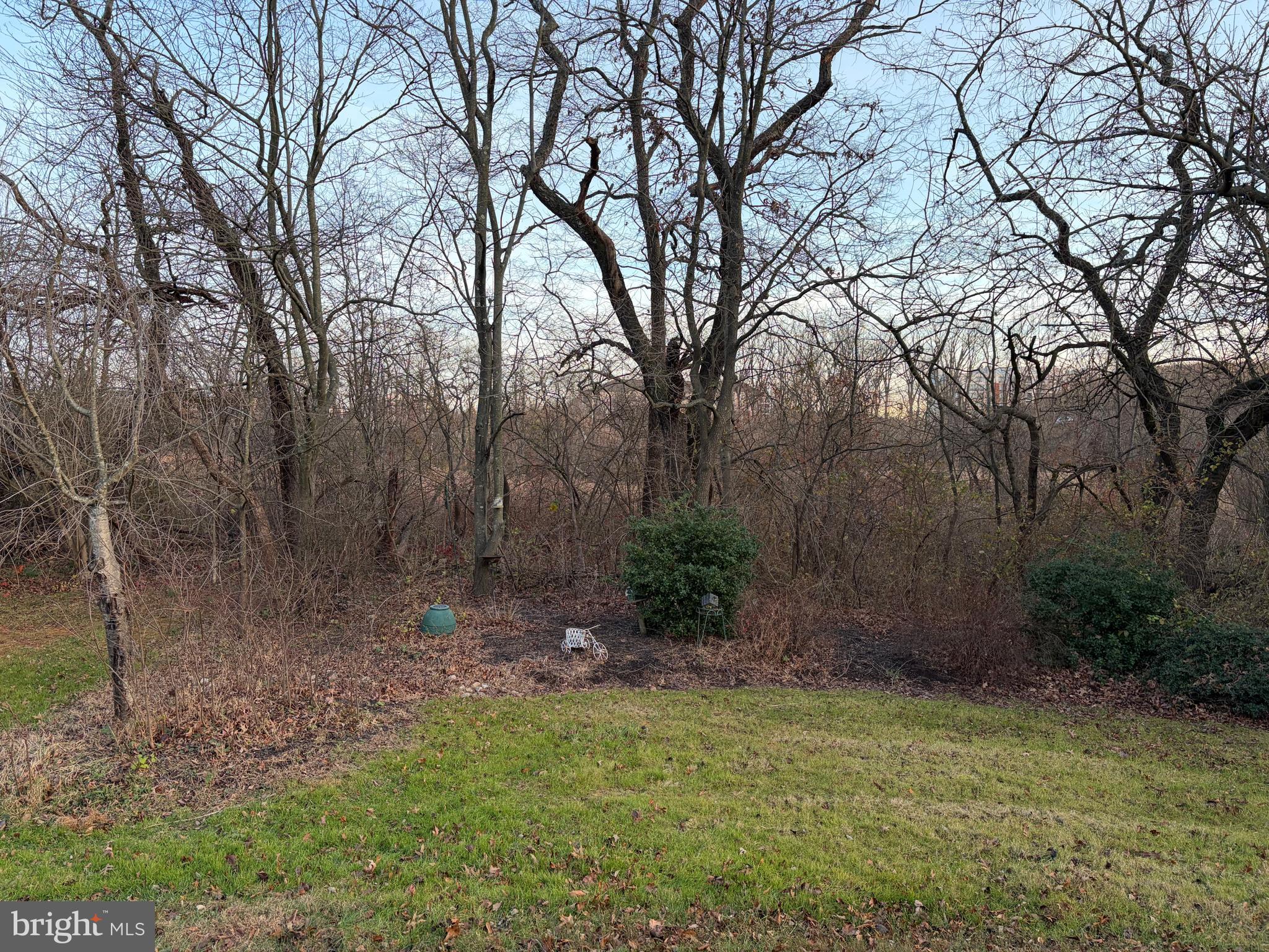 WALNUT MEADOWS - Residential