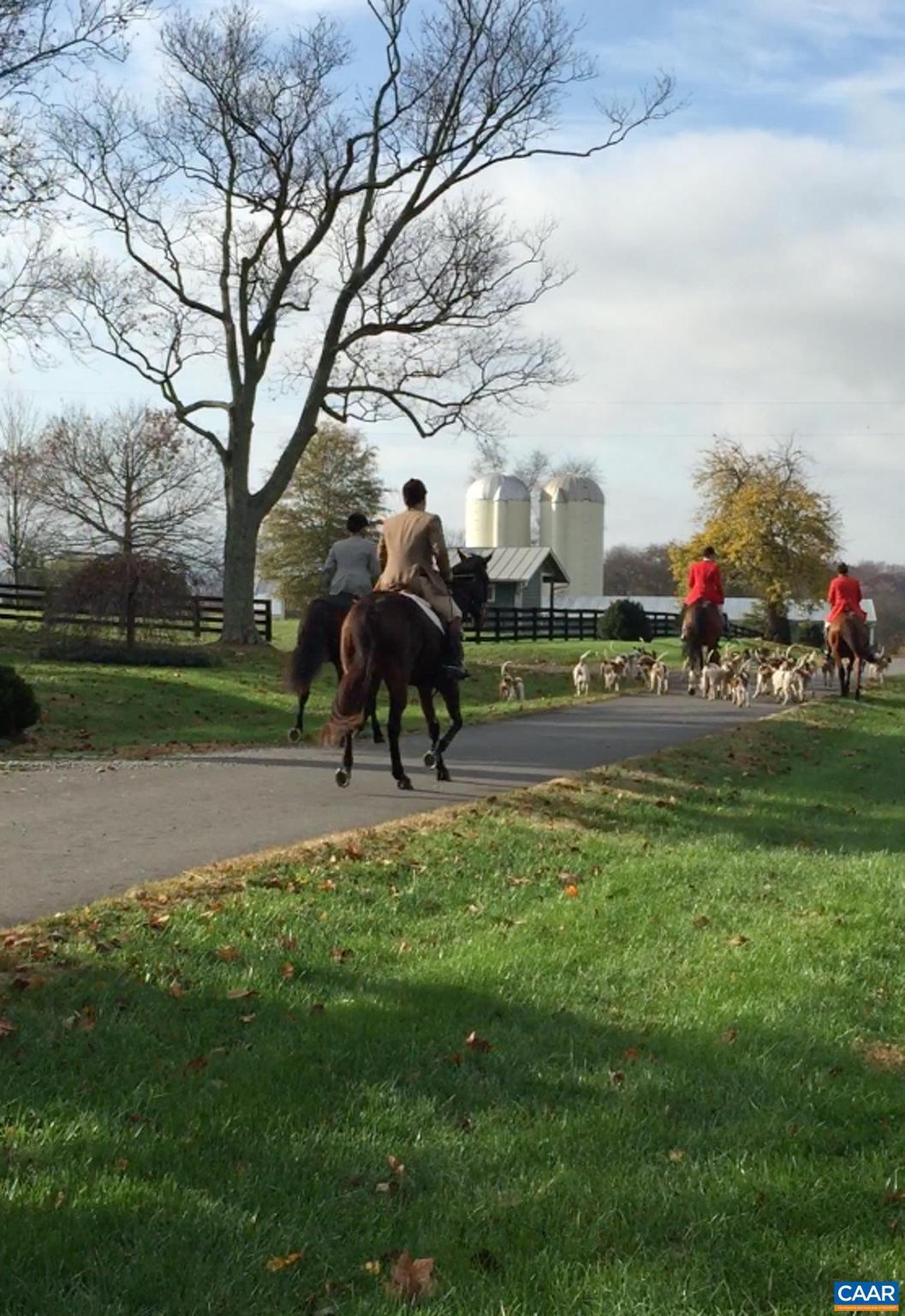 NONE AVAILABLE - Farm