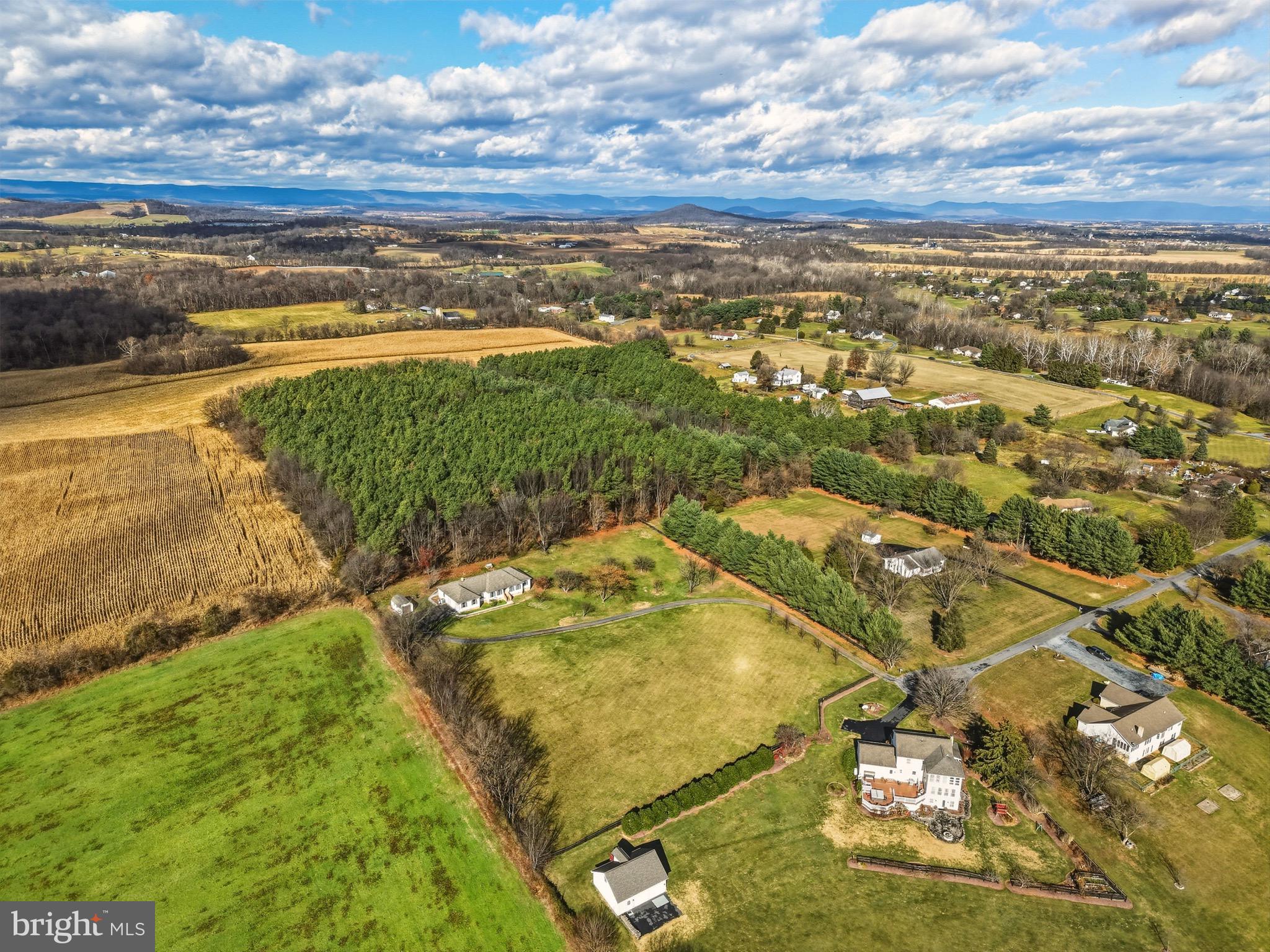 BATTLEFIELD BLUFF - Residential