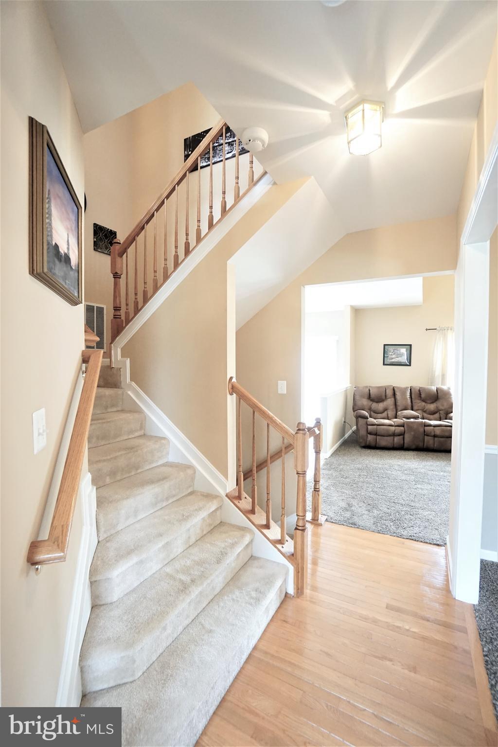 SHENANDOAH SPRINGS - Residential