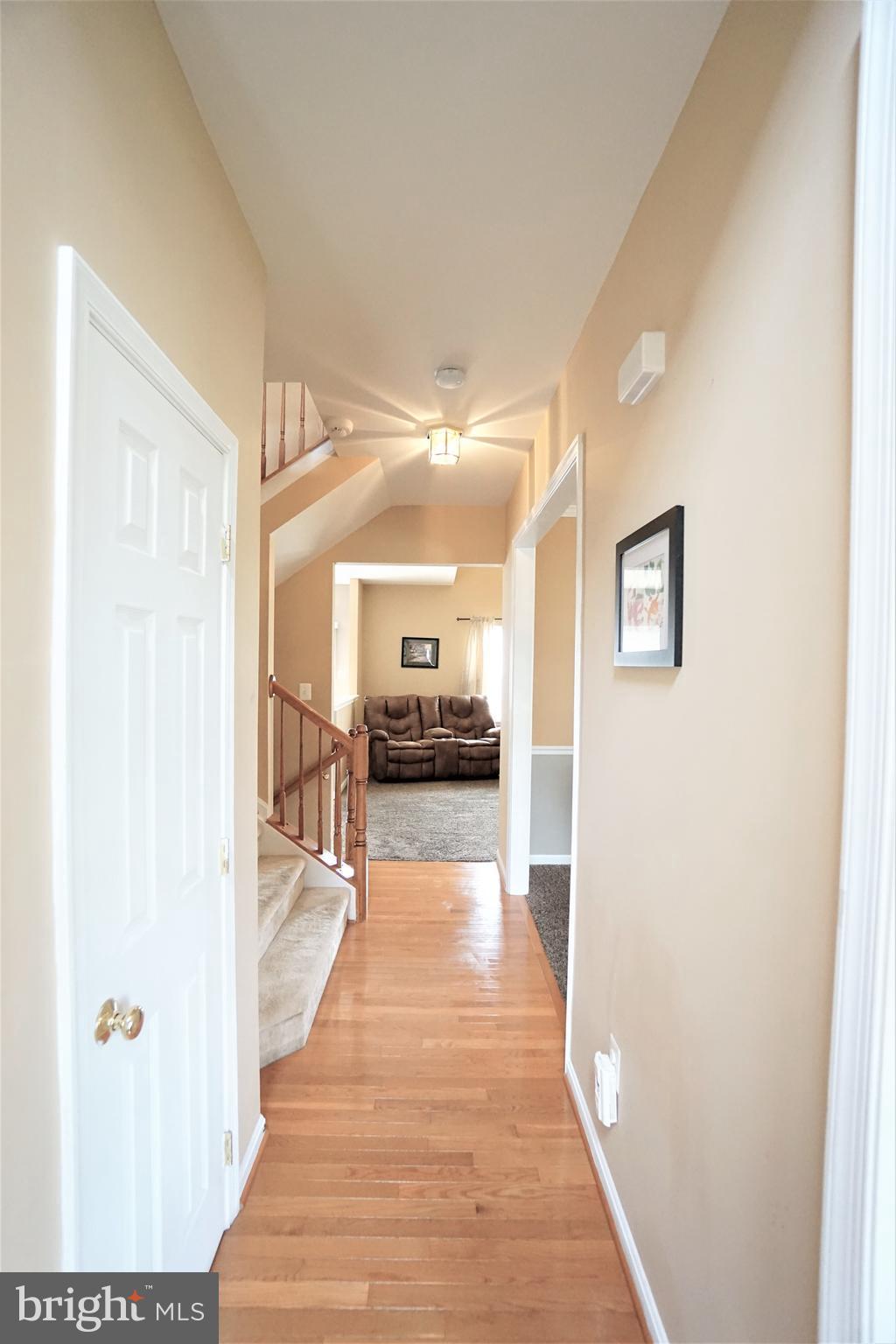 SHENANDOAH SPRINGS - Residential