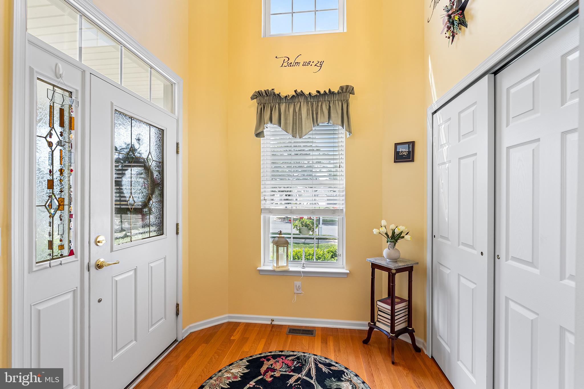 237 TRELLIS LANE