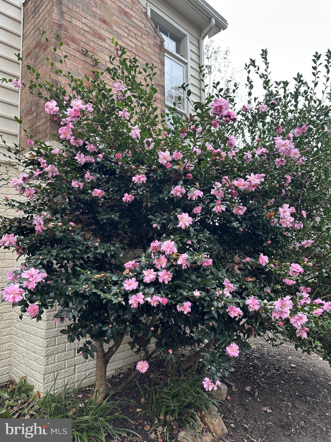 CROSSPOINTE - Residential