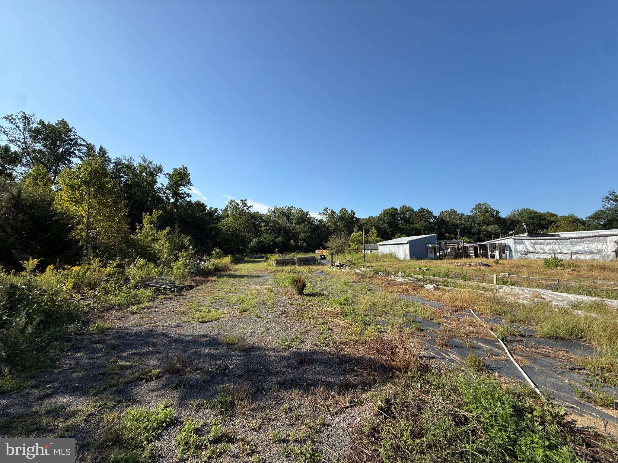 3701 OAK ROAD