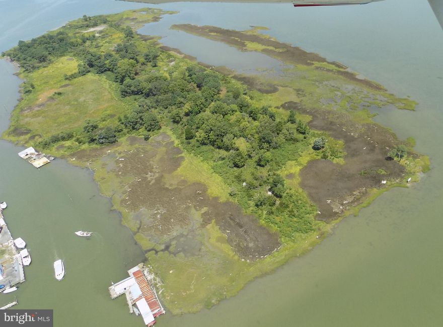 WOW!!! This is your chance to own  55 acres of uninhabited Pristine Waterfront property in the middle of the Chesapeake Bay know as Goat Island!!! The island offers the best of both worlds,  enjoy the seclusion of 1.26 miles of shoreline & 360 degree waterfront views!! This Island has a Good  Elevation  , Approved  Perc test and existing electrical service. Goat Island has fantastic potential for anything from an out-of-the-way retreat, hunting lodge, Bed-and-Breakfast,  wildlife refuge to an eco-resort showcasing the serenity of the environment that makes up the Chesapeake Bay.  The real name of the island is Bradshaw's First Purchase, but is  called Goat Island by the locals because of the estimated 30 goats living on the island. The island is well known for its picturesque flora, fauna, and beautiful sunsets.