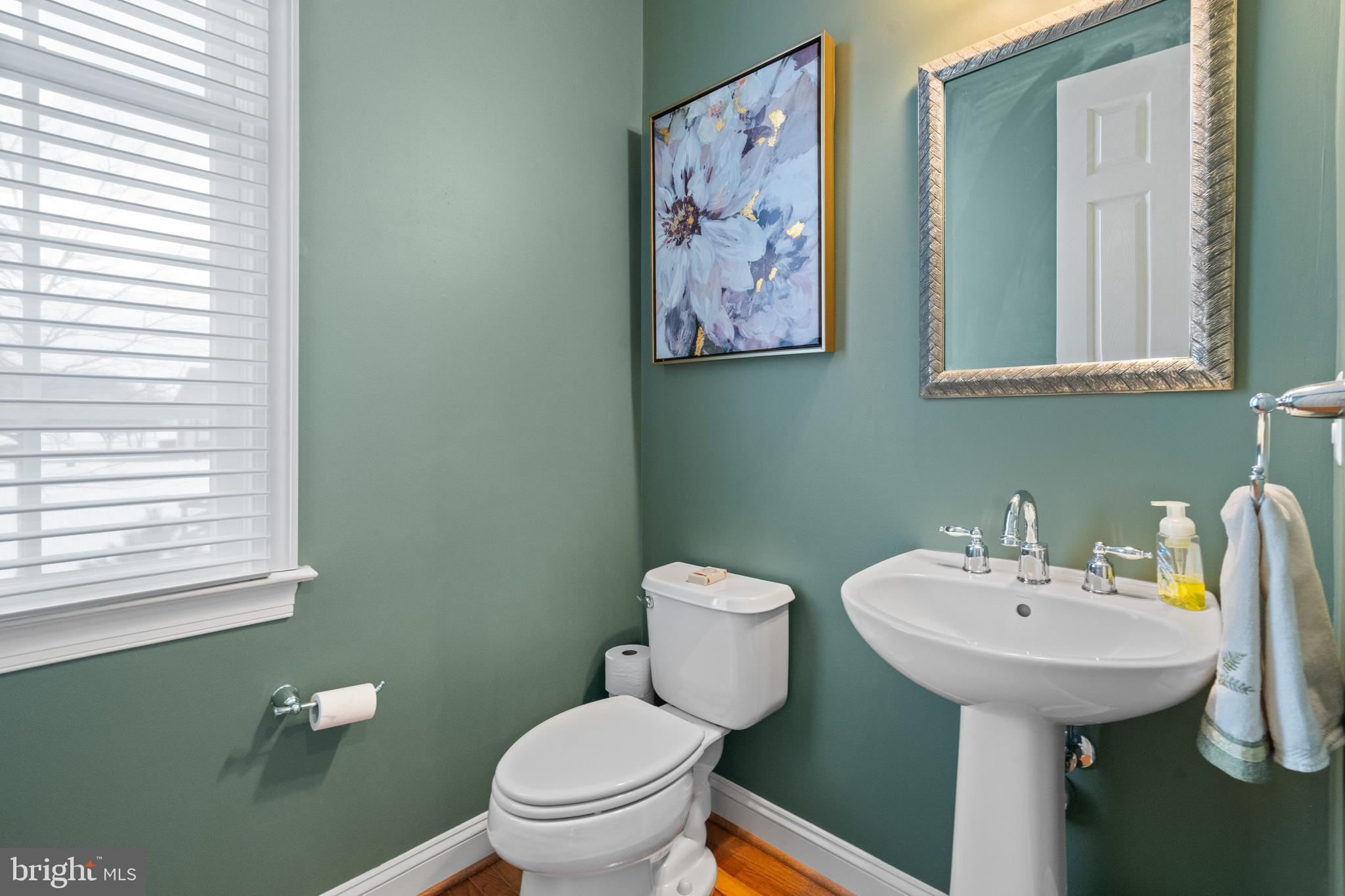 CHESTNUT HILLS - Residential