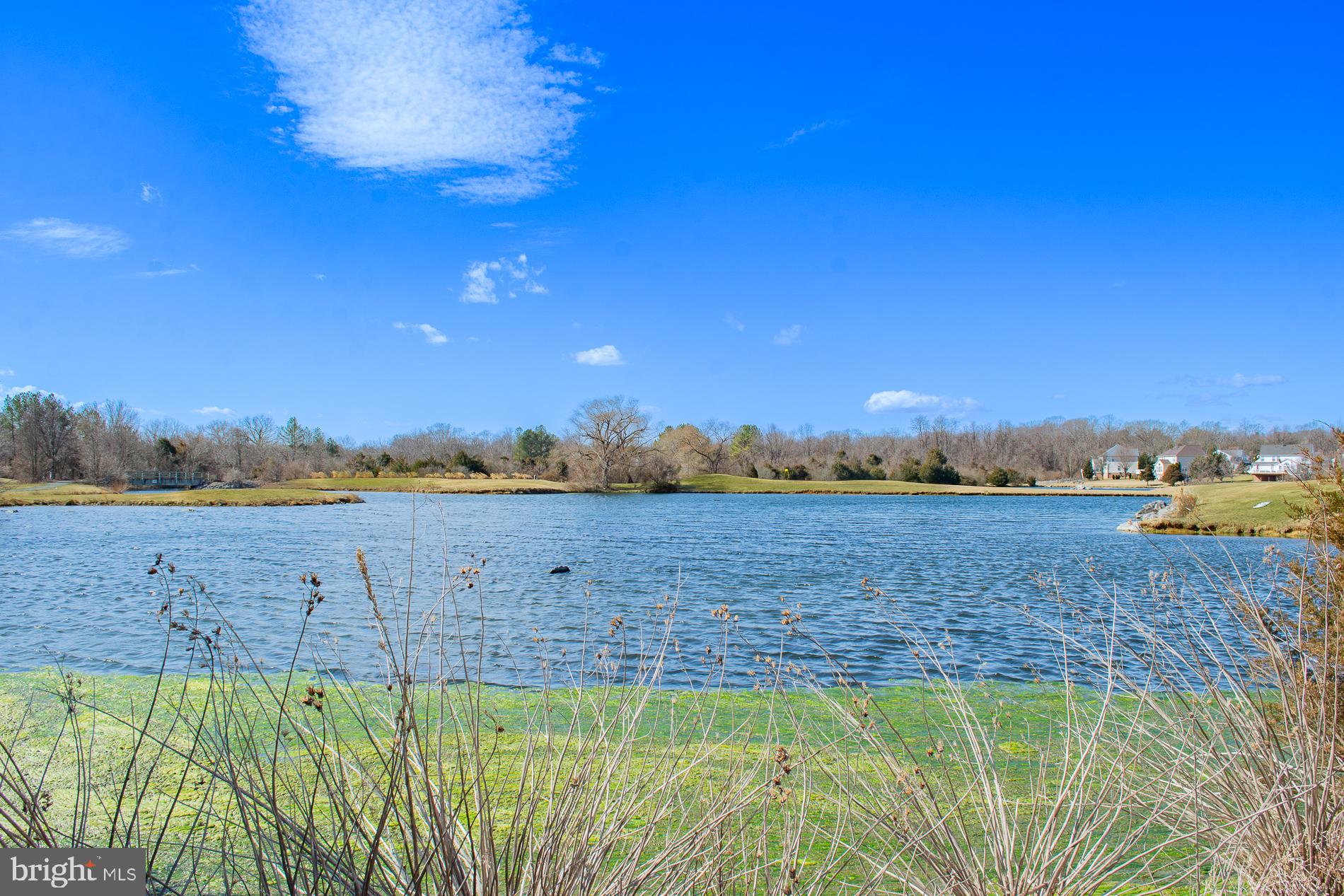 LOCUST HILL - Residential