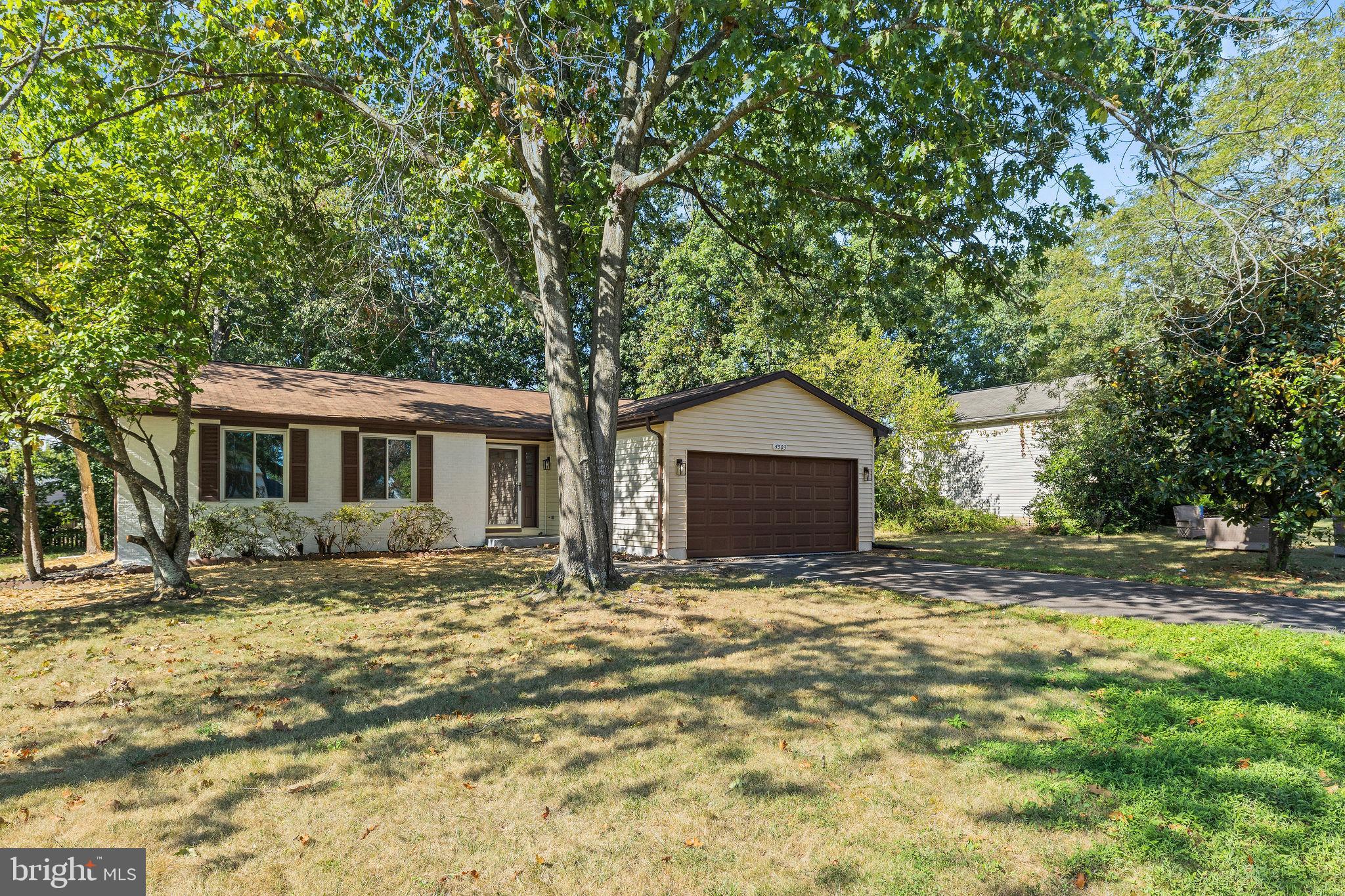 4503 CUB RUN ROAD