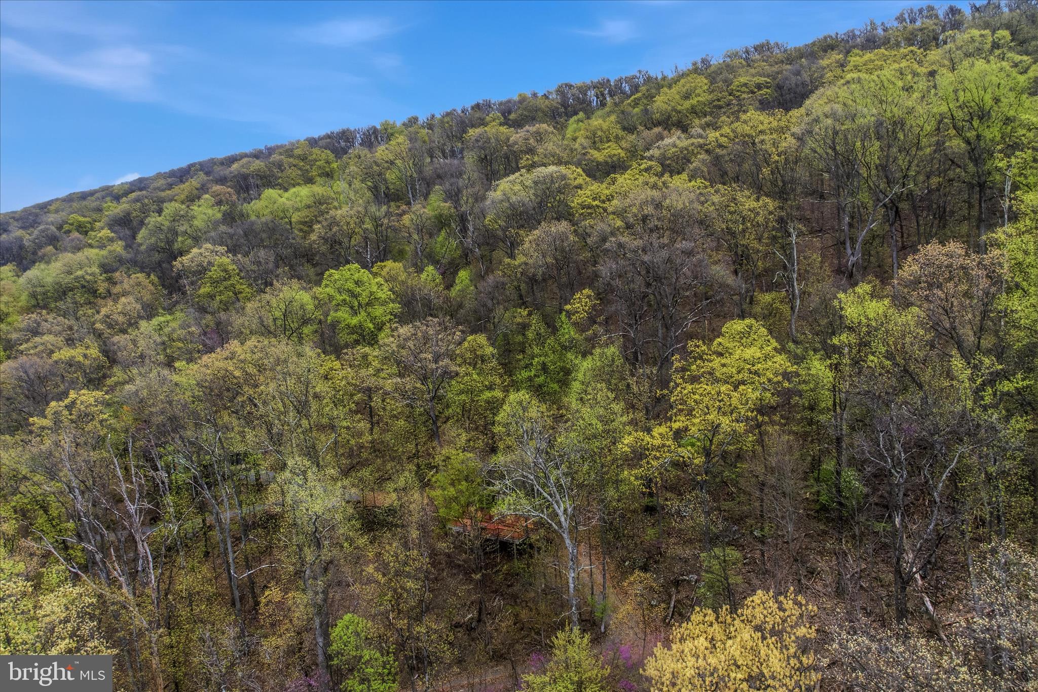 GLENWOOD FOREST - Residential