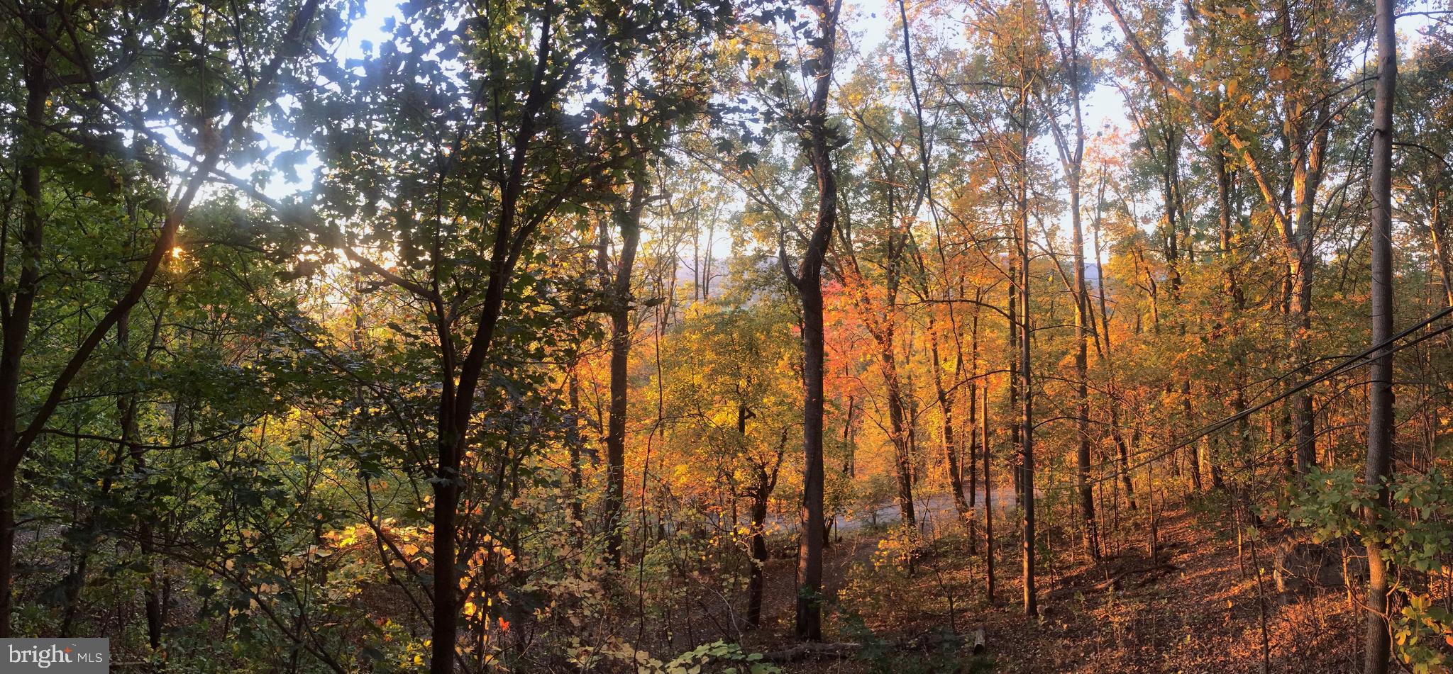 GLENWOOD FOREST - Residential