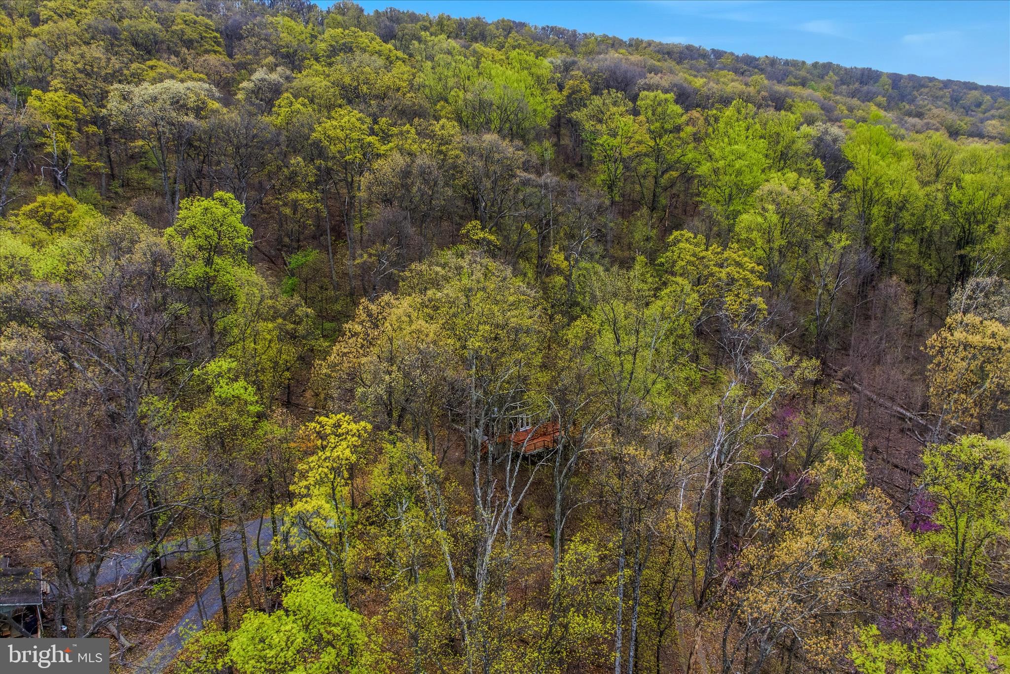 GLENWOOD FOREST - Residential