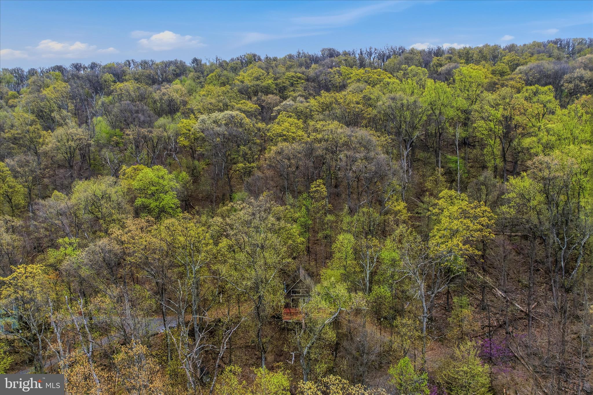 GLENWOOD FOREST - Residential