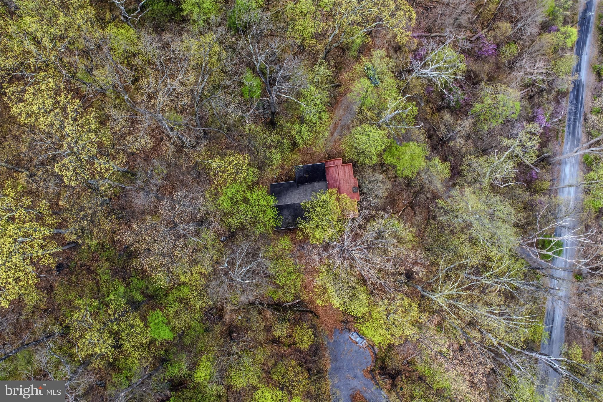 GLENWOOD FOREST - Residential