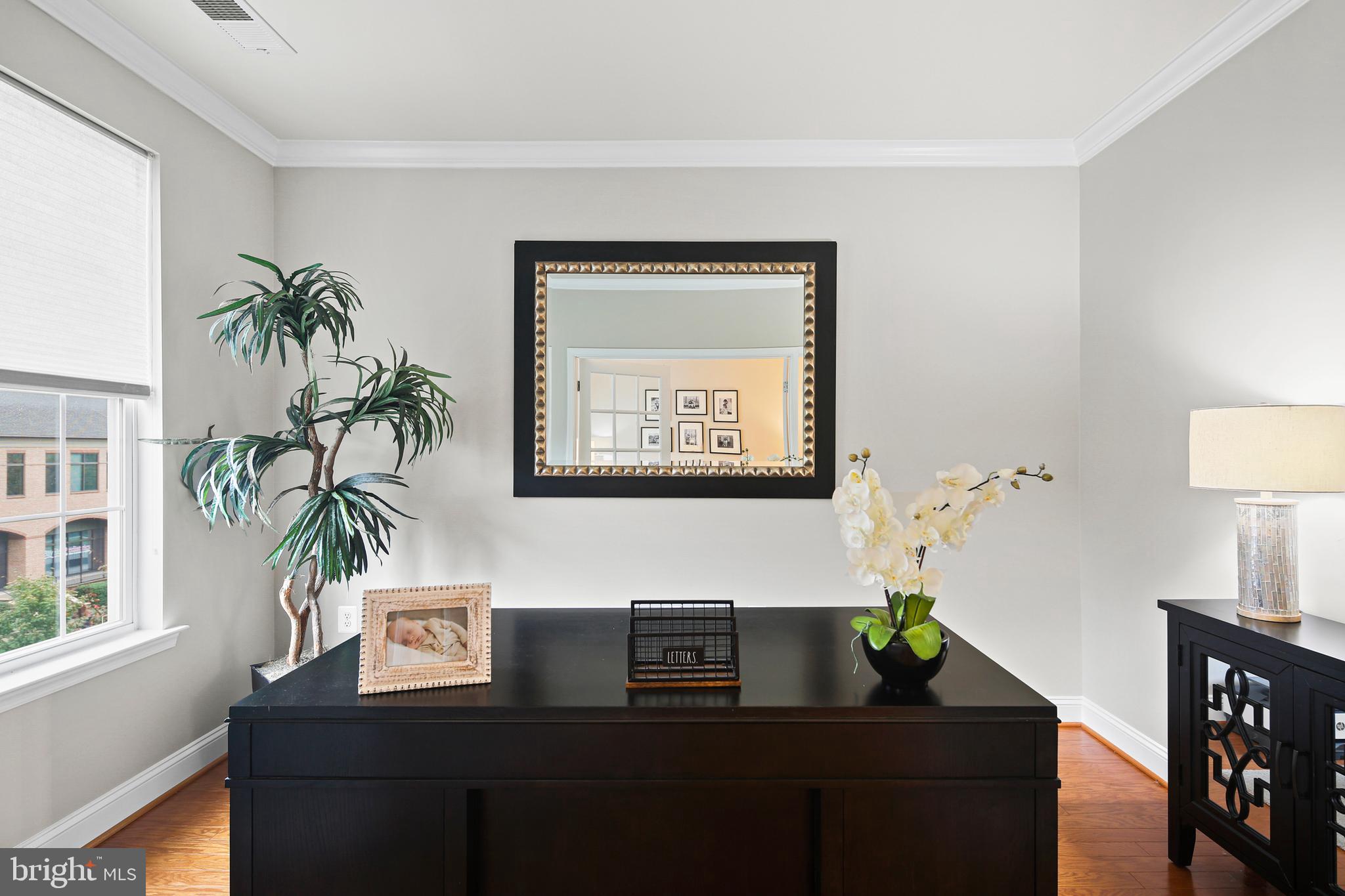 MAPLE LAWN - Residential