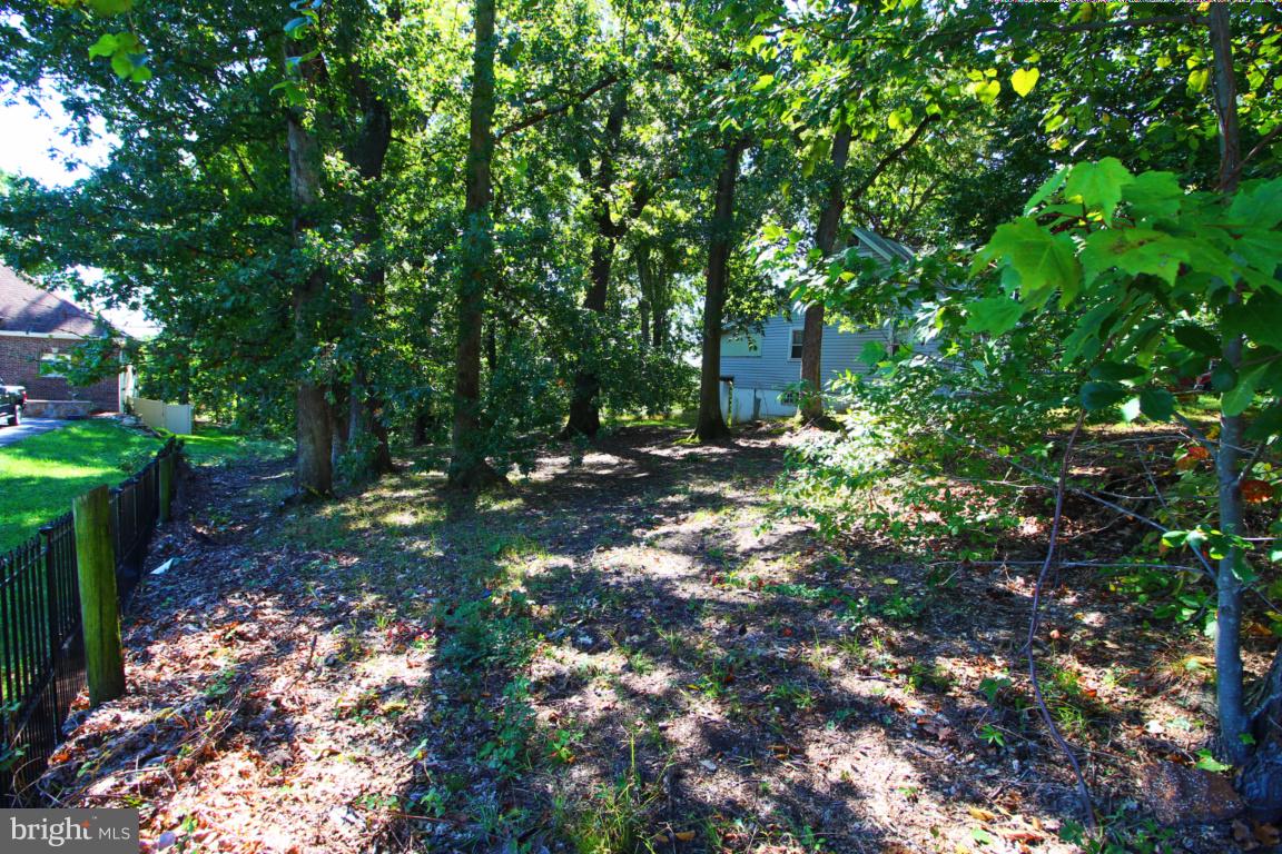 ARDMORE VILLAGE - Land