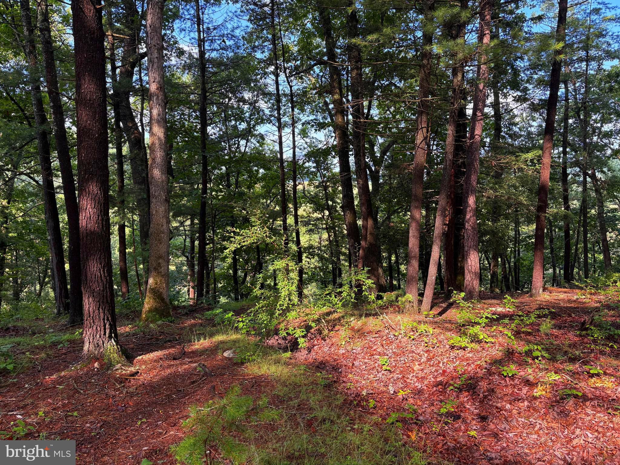 ICE MOUNTAIN - Residential
