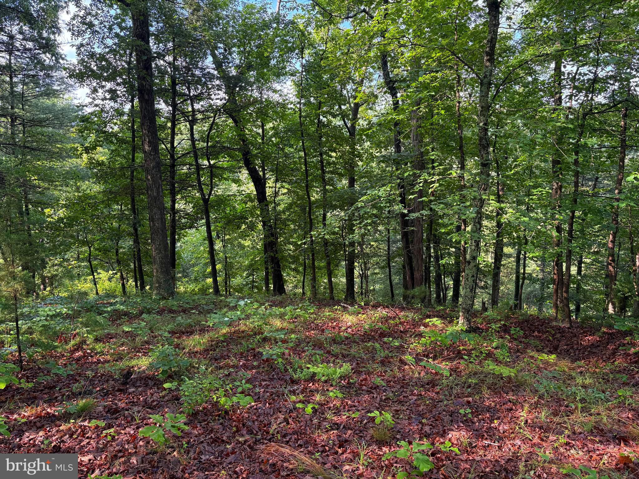 ICE MOUNTAIN - Residential